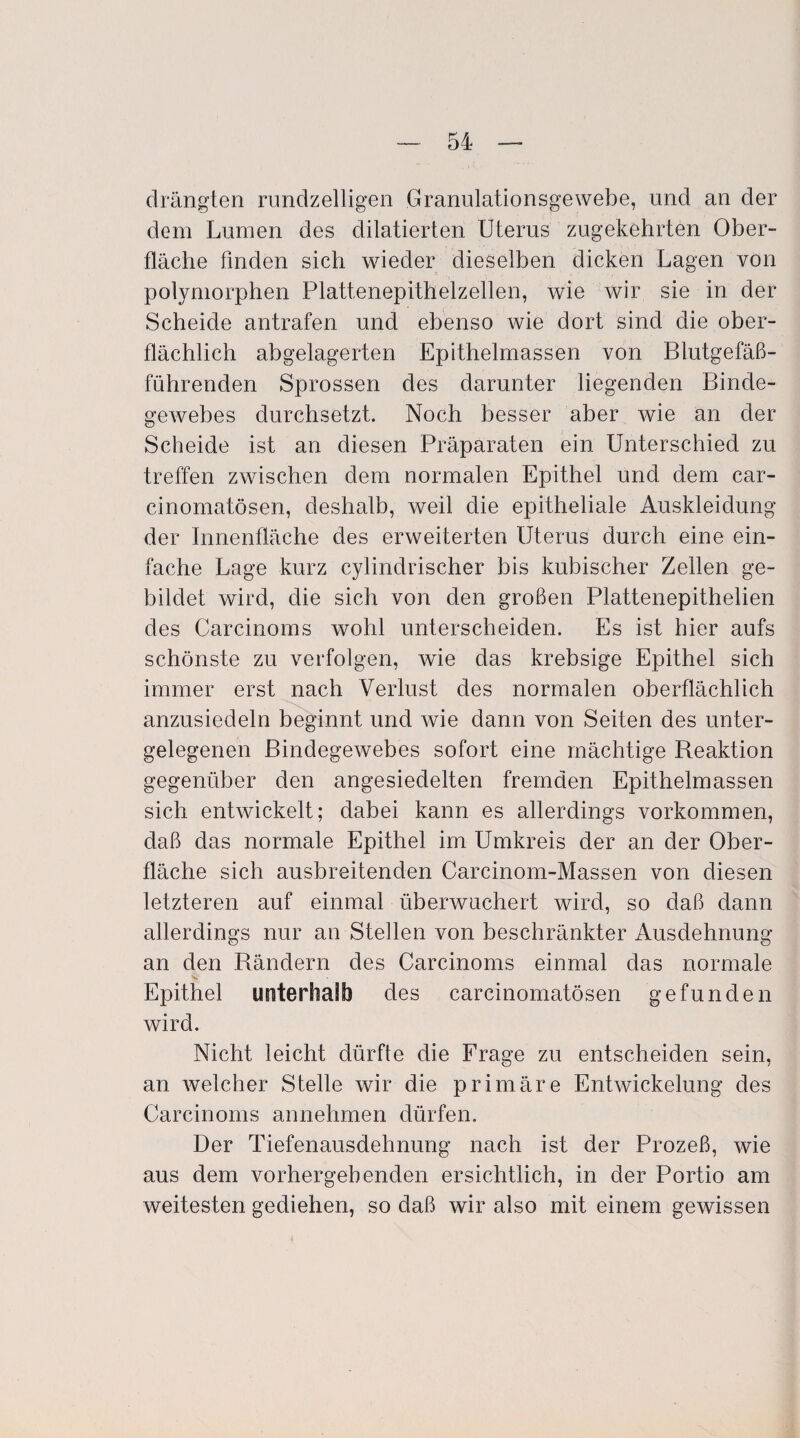 drängten rundzelligen Granulationsgewebe, und an der dem Lumen des dilatierten Uterus zugekehrten Ober¬ fläche finden sich wieder dieselben dicken Lagen von polymorphen Plattenepithelzellen, wie wir sie in der Scheide antrafen und ebenso wie dort sind die ober¬ flächlich abgelagerten Epithelmassen von Blutgefäß¬ führenden Sprossen des darunter liegenden Binde¬ gewebes durchsetzt. Noch besser aber wie an der Scheide ist an diesen Präparaten ein Unterschied zu treffen zwischen dem normalen Epithel und dem car- cinomatösen, deshalb, weil die epitheliale Auskleidung der Innenfläche des erweiterten Uterus durch eine ein¬ fache Lage kurz cylindrischer bis kubischer Zellen ge¬ bildet wird, die sich von den großen Plattenepithelien des Carcinoms wohl unterscheiden. Es ist hier aufs schönste zu verfolgen, wie das krebsige Epithel sich immer erst nach Verlust des normalen oberflächlich anzusiedeln beginnt und wie dann von Seiten des unter¬ gelegenen Bindegewebes sofort eine mächtige Reaktion gegenüber den angesiedelten fremden Epithelmassen sich entwickelt; dabei kann es allerdings Vorkommen, daß das normale Epithel im Umkreis der an der Ober¬ fläche sich ausbreitenden Carcinom-Massen von diesen letzteren auf einmal überwuchert wird, so daß dann allerdings nur an Stellen von beschränkter Ausdehnung an den Rändern des Carcinoms einmal das normale Epithel unterhalb des carcinomatösen gefunden wird. Nicht leicht dürfte die Frage zu entscheiden sein, an welcher Stelle wir die primäre Entwickelung des Carcinoms annehmen dürfen. Der Tiefenausdehnung nach ist der Prozeß, wie aus dem vorhergehenden ersichtlich, in der Portio am weitesten gediehen, so daß wir also mit einem gewissen