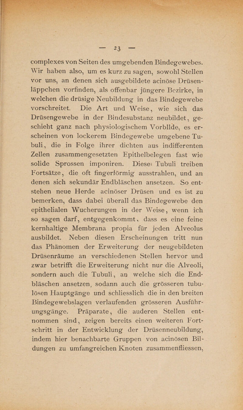 complexes von Seiten des umgebenden Bindegewebes. \\ ir haben also, um es kurz zu sagen, sowohl Stellen vor uns, an denen sich ausgebildete acinöse Drüsen¬ läppchen vorfinden, als offenbar jüngere Bezirke, in welchen die drüsige Neubildung in das Bindegewebe vorschreitet. Die Art und Weise, wie sich das Drüsengewebe in der Bindesubstanz neubildet, ge¬ schieht ganz nach physiologischem Vorbllde, es er¬ scheinen von lockerem Bindegewebe umgebene Tu¬ buli, die in Folge ihrer dichten aus indifferenten Zellen zusammengesetzten Epithelbelegen fast wie solide Sprossen imponiren. Diesem Tubuli treiben Fortsätze, die oft fingerförmig ausstrahlen, und an denen sich sekundär Endbläschen ansetzen. So ent¬ stehen neue Herde acinöser Drüsen und es ist zu bemerken, dass dabei überall das Bindegewebe den epithelialen Wucherungen in der Weise, wenn ich so sagen darf, entgegenkommt, dass es eine feine kernhaltige Membrana propia für jeden Alveolus ausbildet. Neben diesen Erscheinungen tritt nun das Phänomen der Erweiterung der neugebildeten Drüsenräume an verschiedenen Stellen hervor und zwar betrifft die Erweiterung nicht nur die Alveoli, sondern auch die Tubuli, an welche sich die End¬ bläschen ansetzen, sodann auch die grösseren tubu- lösen Elauptgänge und schliesslich die in den breiten Bindegewebslagen verlaufenden grösseren Ausführ¬ ungsgänge. Präparate, die auderen Stellen ent¬ nommen sind, zeigen bereits einen weiteren Fort¬ schritt in der Entwicklung der Drüsenneubildung, indem hier benachbarte Gruppen von acinösen Bil¬ dungen zu umfangreichen Knoten zusammenfliessen,
