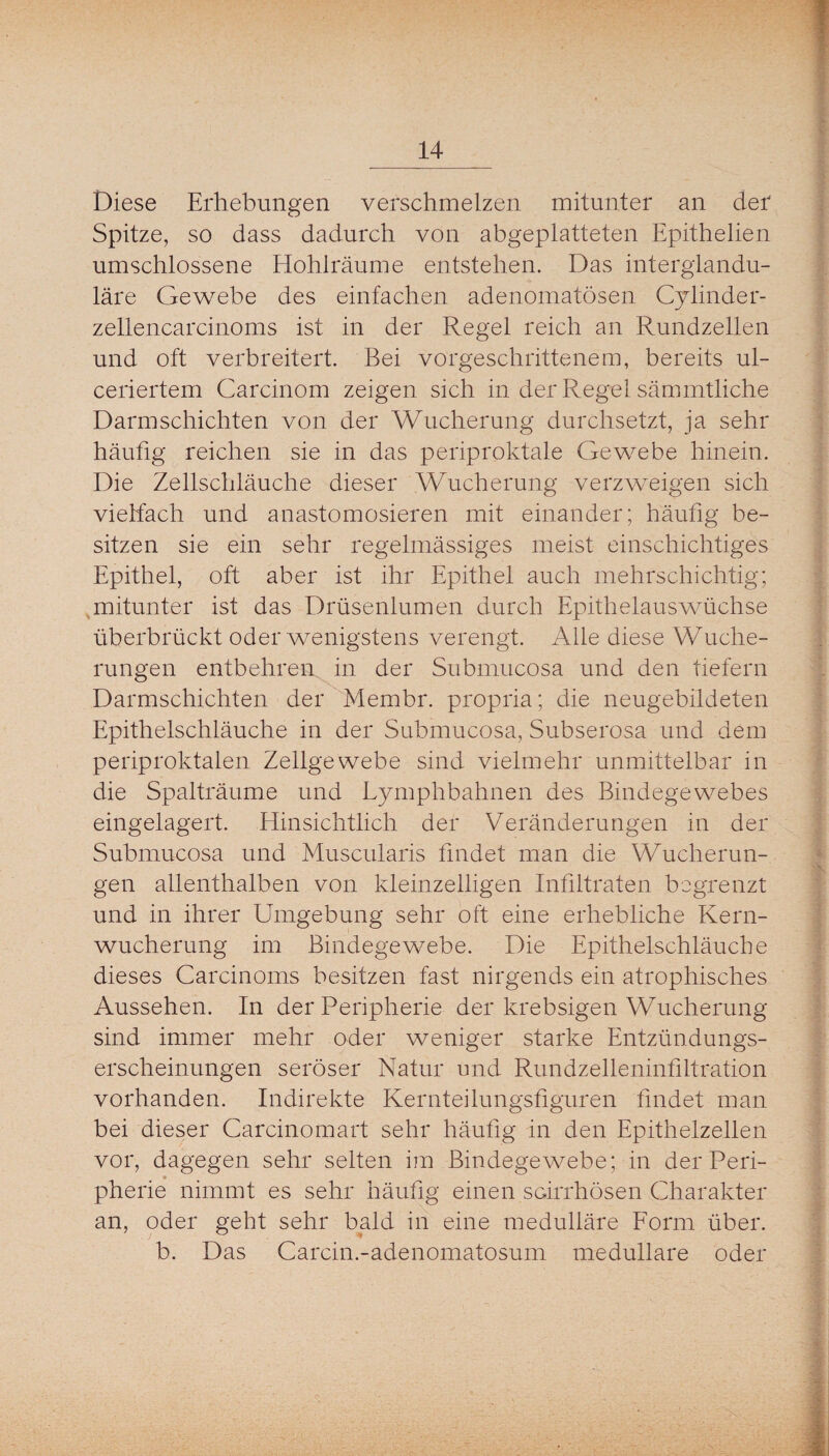 Diese Erhebungen verschmelzen mitunter an der Spitze, so dass dadurch von abgeplatteten Epithelien umschlossene Hohlräume entstehen. Das intergiandu- läre Gewebe des einfachen adenomatösen Cylinder- zellencarcinoms ist in der Regel reich an Rundzellen und oft verbreitert. Bei vorgeschrittenem, bereits ul- ceriertem Carcinom zeigen sich in der Regel sämmtliche Darm schichten von der Wucherung durchsetzt, ja sehr häufig reichen sie in das periproktale Gewebe hinein. Die Zellschläuche dieser Wucherung verzweigen sich vielfach und anastomosieren mit einander; häufig be¬ sitzen sie ein sehr regelmässiges meist einschichtiges Epithel, oft aber ist ihr Epithel auch mehrschichtig; ,mitunter ist das Drüsenlumen durch Epithelauswüchse überbrückt oder wenigstens verengt. Alle diese Wuche¬ rungen entbehren in der Submucosa und den tiefem Darmschichten der Membr. propria; die neugebildeten Epithelschläuche in der Submucosa, Subserosa und dem periproktalen Zellgewebe sind vielmehr unmittelbar in die Spalträume und Lymphbahnen des Bindegewebes eingelagert. Hinsichtlich der Veränderungen in der Submucosa und Muscularis findet man die Wucherun¬ gen allenthalben von kleinzelligen Infiltraten begrenzt und in ihrer Umgebung sehr oft eine erhebliche Kern¬ wucherung im Bindegewebe. Die Epithelschläucbe dieses Carcinoms besitzen fast nirgends ein atrophisches Aussehen. In der Peripherie der krebsigen Wucherung sind immer mehr oder weniger starke Entzündungs¬ erscheinungen seröser Natur und Rundzelleninfiltration vorhanden. Indirekte Kernteilungsfiguren findet man bei dieser Carcinomart sehr häufig in den Epithelzellen vor, dagegen sehr selten im Bindegewebe; in der Peri- pherie nimmt es sehr häufig einen scirrhösen Charakter an, oder geht sehr bald in eine medulläre Form über, b. Das Carcin.-adenomatosum medulläre oder