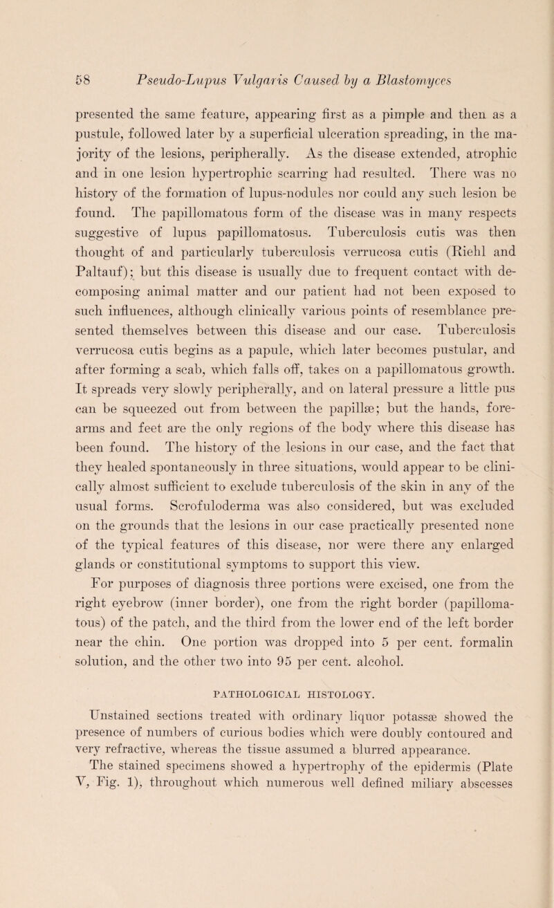 presented the same feature, appearing first as a pimple and then as a pustule, followed later by a superficial ulceration spreading, in the ma¬ jority of the lesions, peripherally. As the disease extended, atrophic and in one lesion hypertrophic scarring had resulted. There was no history of the formation of lupus-nodules nor could any such lesion be found. The papillomatous form of the disease was in many respects suggestive of lupus papillomatosus. Tuberculosis cutis was then thought of and particularly tuberculosis verrucosa cutis (Riehl and Paltauf); but this disease is usually due to frequent contact with de¬ composing animal matter and our patient had not been exposed to such influences, although clinically various points of resemblance pre¬ sented themselves between this disease and our case. Tuberculosis verrucosa cutis begins as a papule, which later becomes pustular, and after forming a scab, which falls off, takes on a papillomatous growth. It spreads very slowly peripherally, and on lateral pressure a little pus can be squeezed out from between the papillae; but the hands, fore¬ arms and feet are the only regions of the body where this disease has been found. The history of the lesions in our case, and the fact that they healed spontaneously in three situations, would appear to be clini¬ cally almost sufficient to exclude tuberculosis of the skin in any of the usual forms. Scrofuloderma was also considered, but was excluded on the grounds that the lesions in our case practically presented none of the typical features of this disease, nor were there any enlarged glands or constitutional symptoms to support this view. For purposes of diagnosis three portions were excised, one from the right eyebrow (inner border), one from the right border (papilloma¬ tous) of the patch, and the third from the lower end of the left border near the chin. One portion was dropped into 5 per cent, formalin solution, and the other two into 95 per cent, alcohol. PATHOLOGICAL HISTOLOGY. Unstained sections treated with ordinary liquor potassss showed the presence of numbers of curious bodies which were doubly contoured and very refractive, whereas the tissue assumed a blurred appearance. The stained specimens showed a hypertrophy of the epidermis (Plate V, Fig. 1), throughout which numerous well defined miliary abscesses