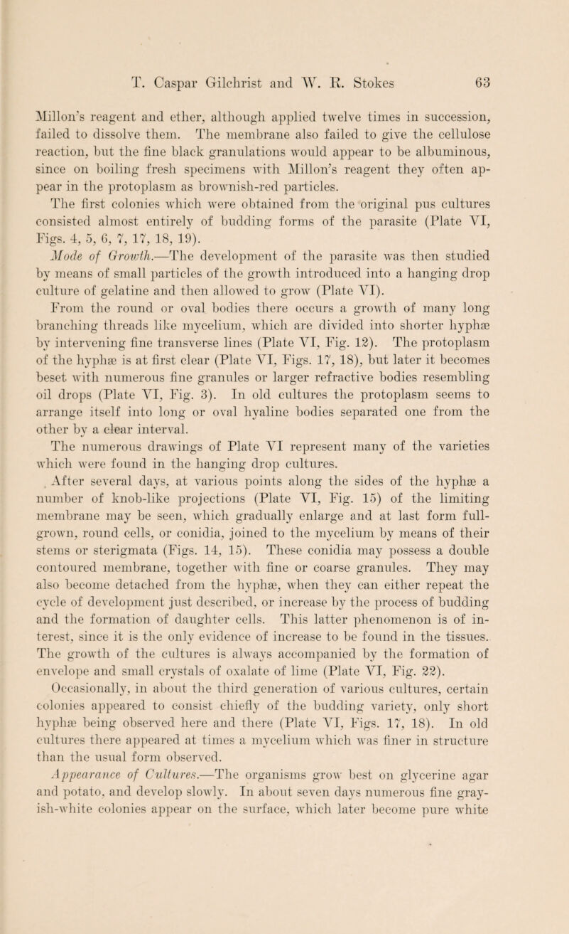 Millon's reagent and ether, although applied twelve times in succession, failed to dissolve them. The membrane also failed to give the cellulose reaction, hut the fine black granulations would appear to be albuminous, since on boiling fresh specimens with Millon’s reagent they often ap¬ pear in the protoplasm as brownish-red particles. The first colonies which were obtained from the original pus cultures consisted almost entirely of budding forms of the parasite (Plate VI, Figs. 4, 5, 6, 7, 17, 18, 19). Mode of Grovjth.—The development of the parasite was then studied by means of small particles of the growth introduced into a hanging drop culture of gelatine and then allowed to grow (Plate AM). From the round or oval bodies there occurs a growth of many long branching threads like mycelium, which are divided into shorter liyphse by intervening fine transverse lines (Plate VI, Fig. 12). The protoplasm of the hyphse is at first clear (Plate VI, Figs. 17, 18), but later it becomes beset with numerous fine granules or larger refractive bodies resembling oil drops (Plate VI, Fig. 3). In old cultures the protoplasm seems to arrange itself into long or oval hyaline bodies separated one from the other by a clear interval. The numerous drawings of Plate VI represent many of the varieties which were found in the hanging drop cultures. After several days, at various points along the sides of the hyphae a number of knob-like projections (Plate VI, Fig. 15) of the limiting membrane may be seen, which gradually enlarge and at last form full- grown, round cells, or conidia, joined to the mycelium by means of their stems or sterigmata (Figs. 14, 15). These conidia may possess a double contoured membrane, together with fine or coarse granules. They may also become detached from the hyphae, when they can either repeat the cycle of development just described, or increase by the process of budding and the formation of daughter cells. This latter phenomenon is of in¬ terest, since it is the only evidence of increase to be found in the tissues. The growth of the cultures is always accompanied by the formation of envelope and small crystals of oxalate of lime (Plate AM, Fig. 22). Occasionally, in about the third generation of various cultures, certain colonies appeared to consist chiefly of the budding variety, only short hyphae being observed here and there (Plate AM, Figs. 17, 18). In old cultures there appeared at times a mycelium which was finer in structure than the usual form observed. Appearance of Cultures.—The organisms grow best on glycerine agar and potato, and develop slowly. In about seven clays numerous fine gray¬ ish-white colonies appear on the surface, which later become pure white