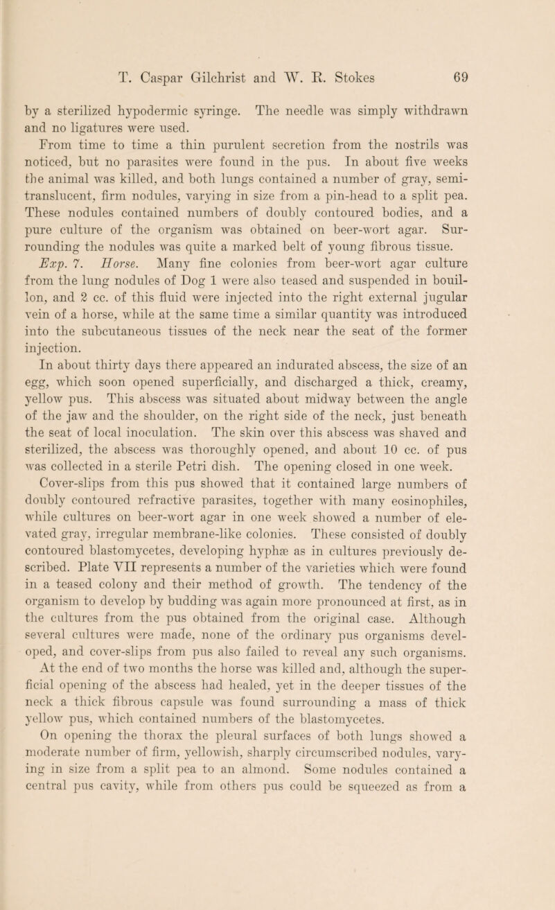 by a sterilized hypodermic syringe. The needle was simply withdrawn and no ligatures were used. From time to time a thin purulent secretion from the nostrils was noticed, hut no parasites were found in the pus. In about five weeks the animal was killed, and both lungs contained a number of gray, semi- translucent, firm nodules, varying in size from a pin-head to a split pea. These nodules contained numbers of doubly contoured bodies, and a pure culture of the organism was obtained on beer-wort agar. Sur¬ rounding the nodules was quite a marked belt of young fibrous tissue. Exp. 7. Horse. Many fine colonies from beer-wort agar culture from the lung nodules of Dog 1 were also teased and suspended in bouil¬ lon, and 2 cc. of this fluid were injected into the right external jugular vein of a horse, while at the same time a similar quantity was introduced into the subcutaneous tissues of the neck near the seat of the former injection. In about thirty days there appeared an indurated abscess, the size of an egg, which soon opened superficially, and discharged a thick, creamy, yellow pus. This abscess was situated about midway between the angle of the jaw and the shoulder, on the right side of the neck, just beneath the seat of local inoculation. The skin over this abscess was shaved and sterilized, the abscess was thoroughly opened, and about 10 cc. of pus was collected in a sterile Petri dish. The opening closed in one week. Cover-slips from this pus showed that it contained large numbers of doubly contoured refractive parasites, together with many eosinophiles, while cultures on beer-wort agar in one week showed a number of ele¬ vated gray, irregular membrane-like colonies. These consisted of doubly contoured blastomycetes, developing hyphas as in cultures previously de¬ scribed. Plate VII represents a number of the varieties which were found in a teased colony and their method of growth. The tendency of the organism to develop by budding was again more pronounced at first, as in the cultures from the pus obtained from the original case. Although several cultures were made, none of the ordinary pus organisms devel¬ oped, and cover-slips from pus also failed to reveal any such organisms. At the end of two months the horse was killed and, although the super¬ ficial opening of the abscess had healed, yet in the deeper tissues of the neck a thick fibrous capsule was found surrounding a mass of thick yellow pus, which contained numbers of the blastomycetes. On opening the thorax the pleural surfaces of both lungs showed a moderate number of firm, yellowish, sharply circumscribed nodules, vary¬ ing in size from a split pea to an almond. Some nodules contained a central pus cavity, while from others pus could he squeezed as from a