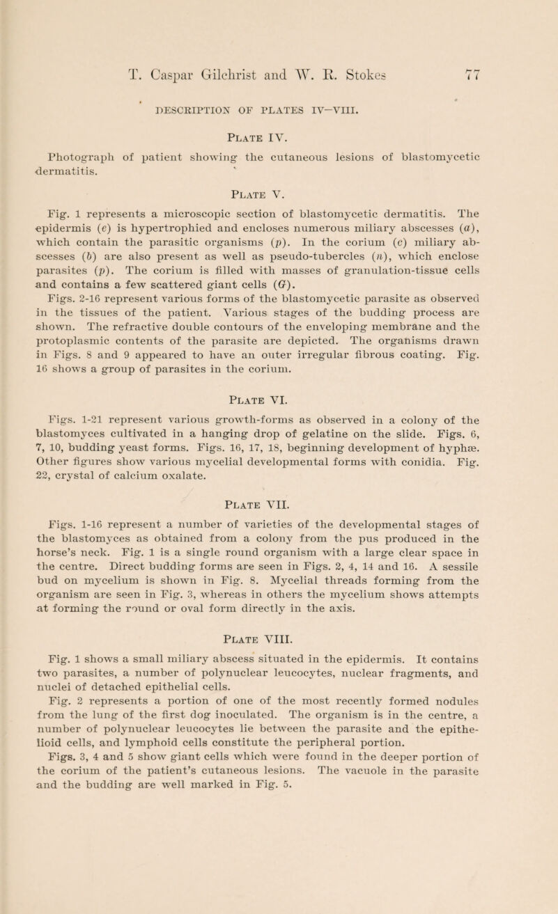 DESCRIPTION OF PLATES IV—VIII. Plate IV. Photograph of patient showing1 the cutaneous lesions of blastomycetic dermatitis. Plate V. Fig. 1 represents a microscopic section of blastomycetic dermatitis. The epidermis (e) is hypertrophied and encloses numerous miliary abscesses (a), which contain the parasitic organisms (p). In the corium (c) miliary ab¬ scesses (&) are also present as well as pseudo-tubercles (n), which enclose parasites (p). The corium is filled with masses of granulation-tissue cells and contains a few scattered giant cells (G). Figs. 2-16 represent various forms of the blastomycetic parasite as observed in the tissues of the patient. Various stages of the budding process are shown. The refractive double contours of the enveloping membrane and the protoplasmic contents of the parasite are depicted. The organisms drawn in Figs. 8 and 9 appeared to have an outer irregular fibrous coating. Fig. 16 shows a group of parasites in the corium. Plate VI. Figs. 1-21 represent various growth-forms as observed in a colony of the blastomyces cultivated in a hanging drop of gelatine on the slide. Figs. 6, 7, 10, budding yeast forms. Figs. 16, 17, 18, beginning development of hyphte. Other figures show various mycelial developmental forms with conidia. Fig. 22, crystal of calcium oxalate. Plate VII. Figs. 1-16 represent a number of varieties of the developmental stages of the blastomyces as obtained from a colony from the pus produced in the horse’s neck. Fig. 1 is a single round organism with a large clear space in the centre. Direct budding forms are seen in Figs. 2, 4, 14 and 16. A sessile bud on mycelium is shown in Fig. 8. Mycelial threads forming from the organism are seen in Fig. 3, whereas in others the mycelium shows attempts at forming the round or oval form directly in the axis. Plate VIII. Fig. 1 shows a small miliary abscess situated in the epidermis. It contains two parasites, a number of polynuclear leucocytes, nuclear fragments, and nuclei of detached epithelial cells. Fig. 2 represents a portion of one of the most recently formed nodules from the lung of the first dog inoculated. The organism is in the centre, a number of polynuclear leucocytes lie between the parasite and the epithe¬ lioid cells, and lymphoid cells constitute the peripheral portion. Figs. 3, 4 and 5 show giant cells which were found in the deeper portion of the corium of the patient’s cutaneous lesions. The vacuole in the parasite and the budding are well marked in Fig. 5.