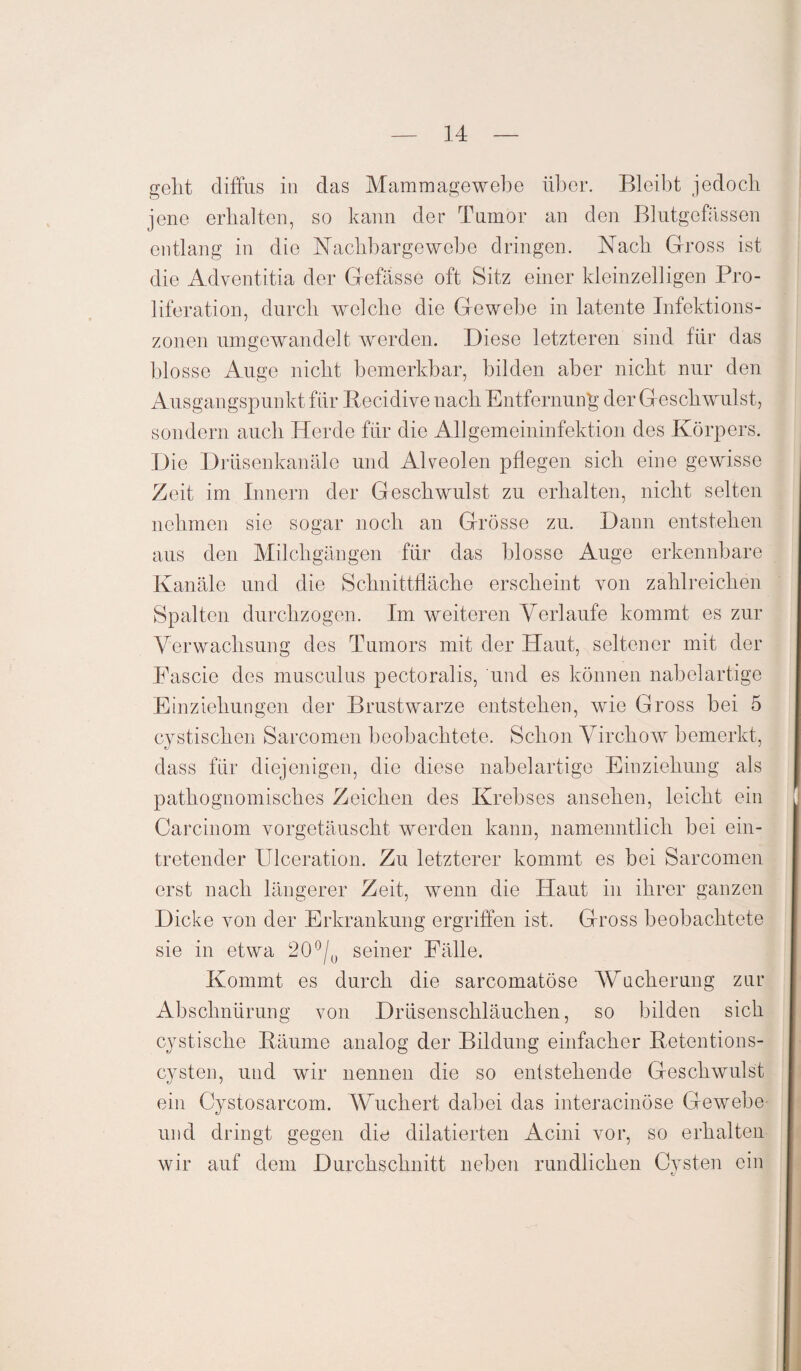 gellt diffus in das Mammagewebe über. Bleibt jedoch jene erhalten, so kann der Tumor an den Blutgefässen entlang in die Nach!) arge webe dringen. Nach Gross ist die Adventitia der Gefässe oft Sitz einer kleinzelligen Pro¬ liferation, durch welche die Gewebe in latente Infektions¬ zonen umgewandelt werden. Diese letzteren sind für das blosse Auge nicht bemerkbar, bilden aber nicht nur den Ausgangspunkt für Becidive nach Entfernung der Geschwulst, sondern auch Herde für die Allgemeininfektion des Körpers. Die Drüsenkanäle und Alveolen pflegen sich eine gewisse Zeit im Innern der Geschwulst zu erhalten, nicht selten nehmen sie sogar noch an Grösse zu. Dann entstehen aus den Milchgängen für das blosse Auge erkennbare Kanäle und die Schnittfläche erscheint von zahlreichen Spalten durchzogen. Im weiteren Verlaufe kommt es zur Verwachsung des Tumors mit der Haut, seltener mit der Eascie des musculus pectoralis, und es können nabelartige Einziehungen der Brustwarze entstehen, wie Gross bei 5 cystischen Sarcomen beobachtete. Schon Virchow bemerkt, dass für diejenigen, die diese nabelartige Einziehung als pathognomisches Zeichen des Krebses ansehen, leicht ein Carcinom vorgetäuscht werden kann, namenntlick bei ein¬ tretender Ulceration. Zu letzterer kommt es bei Sarcomen erst nach längerer Zeit, wenn die Haut in ihrer ganzen Dicke von der Erkrankung ergriffen ist. Gross beobachtete sie in etwa 200/o seiner Fälle. Kommt es durch die sarcomatöse Wucherung zur Abschnürung von Drüsenschläuchen, so bilden sich cvstische Bäume analog der Bildung einfacher Beten tions- cysten, und wir nennen die so entstehende Geschwulst ein Cystosarcom. Wuchert dabei das interacinöse Gewebe und dringt gegen die dilatierten Acini vor, so erhalten wir auf dem Durchschnitt neben rundlichen Cysten ein t/