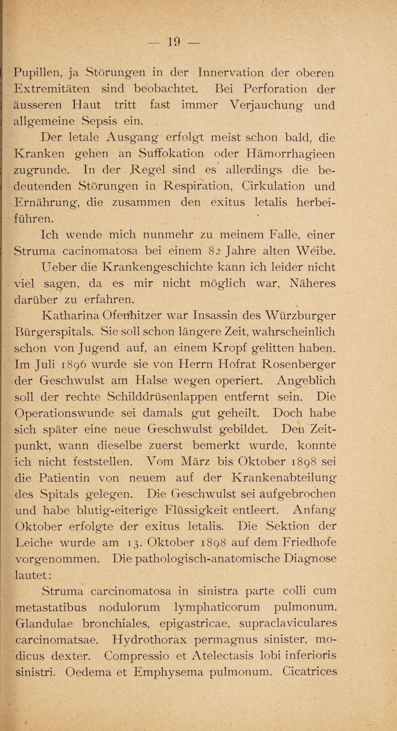 Pupillen, ja Störungen in der Innervation der oberen Extremitäten sind beobachtet. Bei Perforation der äusseren Haut tritt fast immer Verjauchung und allgemeine Sepsis ein. Der letale Ausgang erfolgt meist schon bald, die Kranken gehen an Suffokation oder Hämorrhagieen zugrunde. In der Regel sind es allerdings die be¬ deutenden Störungen in Respiration, Cirkulation und Ernährung, die zusammen den exitus letalis herbei¬ führen. Ich wende mich nunmehr zu meinem Falle, einer \ Struma cacinomatosa bei einem 82 Jahre alten Weibe. LTeber die Krankengeschichte kann ich leider nicht viel sagen, da es mir nicht möglich war, Näheres darüber zu erfahren. Katharina Ofenhitzer war Insassin des Würzburger Bürgerspitals. Sie soll schon längere Zeit, wahrscheinlich schon von Jugend auf, an einem Kropf gelitten haben. Im Juli 1896 wurde sie von Herrn Hofrat Rosenberger der Geschwulst am Halse wegen operiert. Angeblich soll der rechte Schilddrüsenlappen entfernt sein. Die Operationswunde sei damals gut geheilt. Doch habe sich später eine neue Geschwulst gebildet. Den Zeit¬ punkt, wann dieselbe zuerst bemerkt wurde, konnte ich nicht feststellen. Vom März bis Oktober 1898 sei die Patientin von neuem auf der Krankenabteilung des Spitals gelegen. Die Geschwulst sei aufgebrochen und habe blutig'-eiterige Flüssigkeit entleert. Anfang Oktober erfolgte der exitus letalis. Die Sektion der Leiche wurde am 13. Oktober 1898 auf dem Friedhofe vorgenommen. Die pathologisch-anatomische Diagnose lautet: Struma carcinomatosa in sinistra parte colli cum metastatibus nodulorum lymphaticorum pulmonum. Glandulae bronchiales, epigastricae, supraclaviculares carcinomatsae. Hydrothorax permagnus sinister, mo- dicus dexter. Compressio et Atelectasis lobi inferioris sinistri. Oedema et Emphysema pulmonum. Cicatrices