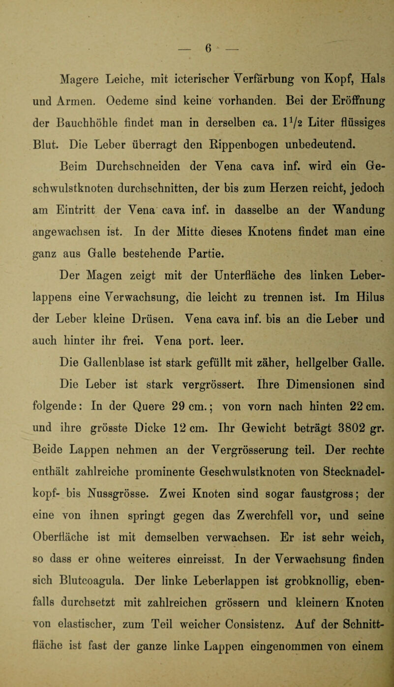 Magere Leiche, mit icterischer Verfärbung von Kopf, Hals und Armen. Oedeme sind keine vorhanden. Bei der Eröffnung der Bauchhöhle findet man in derselben ca. O/2 Liter flüssiges Blut. Die Leber überragt den Rippenbogen unbedeutend. Beim Durchschneiden der Vena cava inf. wird ein Ge¬ schwulstknoten durchschnitten, der bis zum Herzen reicht, jedoch am Eintritt der Vena cava inf. in dasselbe an der Wandung angewachsen ist. In der Mitte dieses Knotens findet man eine ganz aus Galle bestehende Partie. Der Magen zeigt mit der Unterfläche des linken Leber¬ lappens eine Verwachsung, die leicht zu trennen ist. Im Hilus der Leber kleine Drüsen. Vena cava inf. bis an die Leber und auch hinter ihr frei. Vena port. leer. Die Gallenblase ist stark gefüllt mit zäher, hellgelber Galle. Die Leber ist stark vergrössert. Ihre Dimensionen sind folgende: In der Quere 29 cm.; von vorn nach hinten 22 cm. und ihre grösste Dicke 12 cm. Ihr Gewicht beträgt 3802 gr. Beide Lappen nehmen an der Vergrösserung teil. Der rechte enthält zahlreiche prominente Geschwulstknoten von Stecknadel¬ kopf- bis Nussgrösse. Zwei Knoten sind sogar faustgross; der eine von ihnen springt gegen das Zwerchfell vor, und seine Oberfläche ist mit demselben verwachsen. Er ist sehr weich, so dass er ohne weiteres einreisst. In der Verwachsung finden sich Blutcoagula. Der linke Leberlappen ist grobknollig, eben¬ falls durchsetzt mit zahlreichen grossem und kleinern Knoten von elastischer, zum Teil weicher Consistenz. Auf der Schnitt¬ fläche ist fast der ganze linke Lappen eingenommen von einem