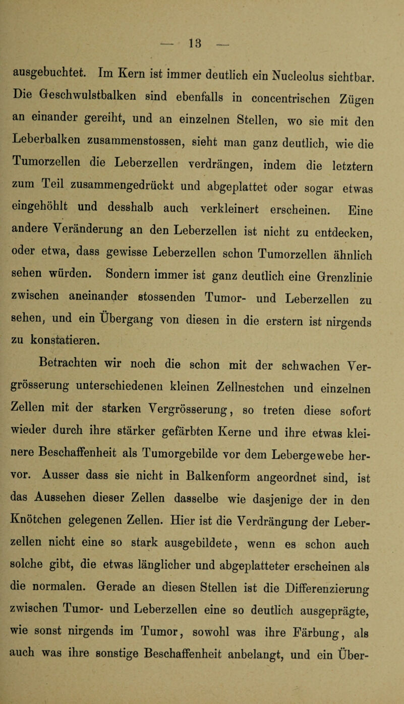 ausgebuchtet. Im Kern ist immer deutlich ein Nucleolus sichtbar. Die Geschwulstbalken sind ebenfalls in concentrischen Zügen an einander gereiht, und an einzelnen Stellen, wo sie mit den Leberbalken zusammenstossen, sieht man ganz deutlich, wie die Tumorzellen die Leberzellen verdrängen, indem die letztem zum Teil zusammengedrückt und abgeplattet oder sogar etwas eingehöhlt und desshalb auch verkleinert erscheinen. Eine andere Veränderung an den Leberzellen ist nicht zu entdecken, oder etwa, dass gewisse Leberzellen schon Tumorzellen ähnlich sehen würden. Sondern immer ist ganz deutlich eine Grenzlinie zwischen aneinander stossenden Tumor- und Leberzellen zu sehen, und ein Übergang von diesen in die erstem ist nirgends zu konstatieren. Betrachten wir noch die schon mit der schwachen Ver- grösserung unterschiedenen kleinen Zellnestchen und einzelnen Zellen mit der starken Vergrösserung, so treten diese sofort wieder durch ihre stärker gefärbten Kerne und ihre etwas klei¬ nere Beschaffenheit als Tumorgebilde vor dem Lebergewebe her¬ vor. Ausser dass sie nicht in Balkenform angeordnet sind, ist das Aussehen dieser Zellen dasselbe wie dasjenige der in den Knötchen gelegenen Zellen. Hier ist die Verdrängung der Leber¬ zellen nicht eine so stark ausgebildete, wenn es schon auch solche gibt, die etwas länglicher und abgeplatteter erscheinen als die normalen. Gerade an diesen Stellen ist die Differenzierung zwischen Tumor- und Leberzellen eine so deutlich ausgeprägte, wie sonst nirgends im Tumor, sowohl was ihre Färbung, als auch was ihre sonstige Beschaffenheit anbelangt, und ein Über-