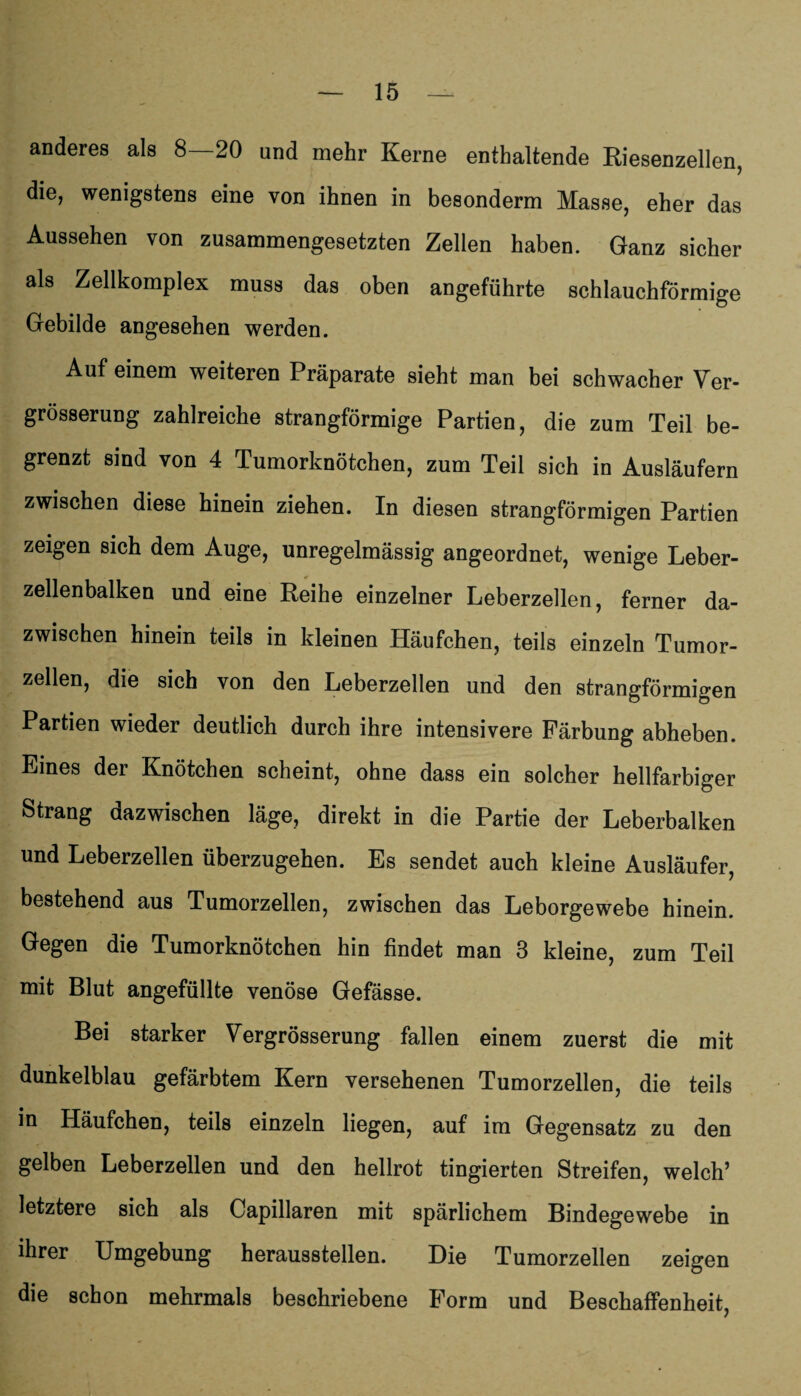 anderes als 8—20 und mehr Kerne enthaltende Riesenzellen, die, wenigstens eine von ihnen in besonderen Masse, eher das Aussehen von zusammengesetzten Zellen haben. Ganz sicher als Zellkomplex muss das oben angeführte schlauchförmige Gebilde angesehen werden. Auf einem weiteren Präparate sieht man bei schwacher Ver- grösserung zahlreiche strangförmige Partien, die zum Teil be¬ grenzt sind von 4 Tumorknötchen, zum Teil sich in Ausläufern zwischen diese hinein ziehen. In diesen strangförmigen Partien zeigen sich dem Auge, unregelmässig angeordnet, wenige Leber¬ zellenbalken und eine Reihe einzelner Leberzellen, ferner da¬ zwischen hinein teils in kleinen Häufchen, teils einzeln Tumor¬ zellen, die sich von den Leberzellen und den strangförmigen Partien wieder deutlich durch ihre intensivere Färbung abheben. Eines der Knötchen scheint, ohne dass ein solcher hellfarbiger Strang dazwischen läge, direkt in die Partie der Leberbalken und Leberzellen überzugehen. Es sendet auch kleine Ausläufer, bestehend aus Tumorzellen, zwischen das Leborgewebe hinein. Gegen die Tumorknötchen hin findet man 3 kleine, zum Teil mit Blut angefüllte venöse Gefässe. Bei starker Vergrösserung fallen einem zuerst die mit dunkelblau gefärbtem Kern versehenen Tumorzellen, die teils in Häufchen, teils einzeln liegen, auf im Gegensatz zu den gelben Leberzellen und den hellrot tingierten Streifen, welch’ letztere sich als Capillaren mit spärlichem Bindegewebe in ihrer Umgebung herausstellen. Die Tumorzellen zeigen die schon mehrmals beschriebene Form und Beschaffenheit,