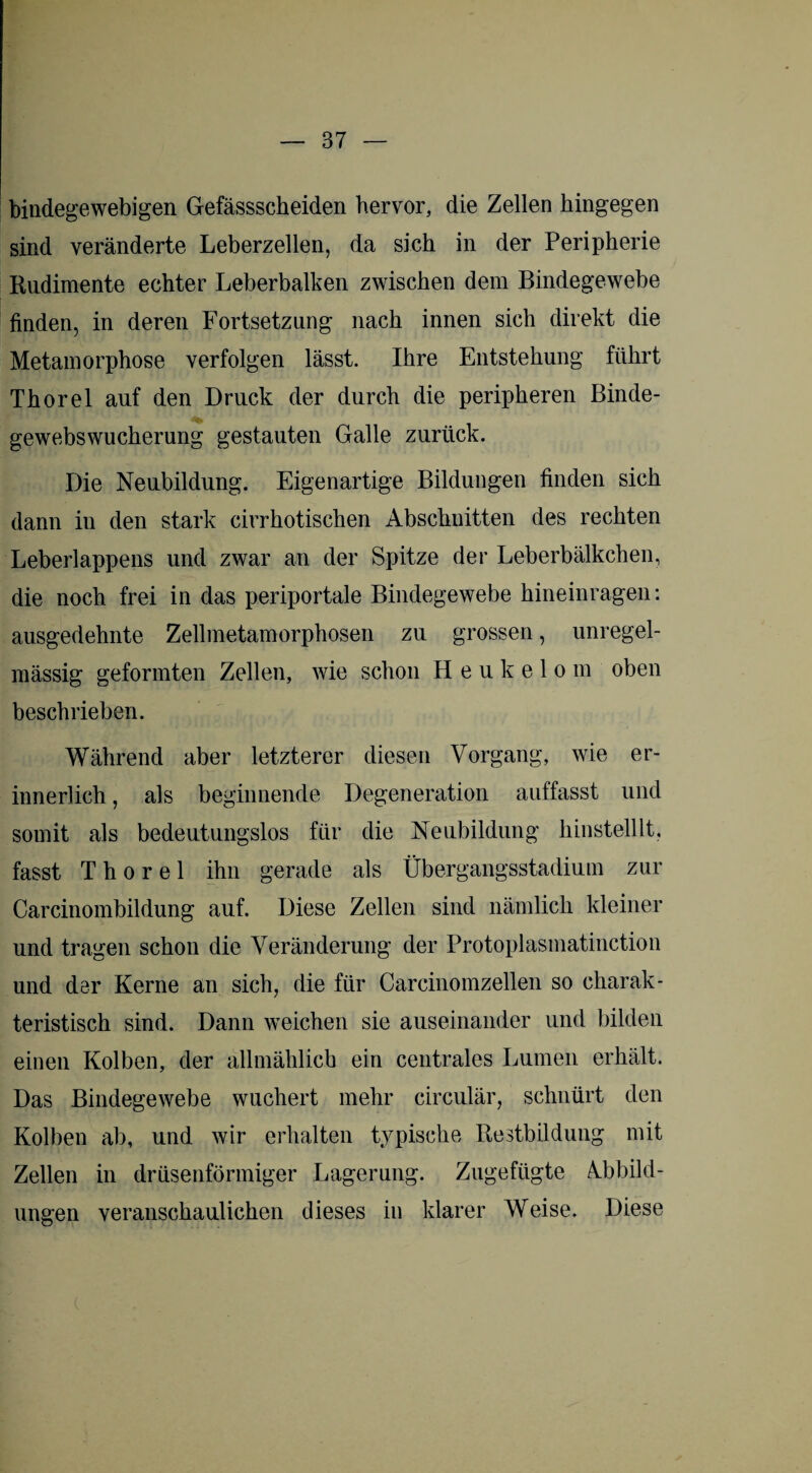 bindegewebigen Gefässscheiden hervor, die Zellen hingegen sind veränderte Leberzellen, da sich in der Peripherie Rudimente echter Leberbalken zwischen dem Bindegewebe finden, in deren Fortsetzung nach innen sich direkt die Metamorphose verfolgen lässt. Ihre Entstehung führt Thorei auf den Druck der durch die peripheren Binde¬ gewebswucherung gestauten Galle zurück. Die Neubildung. Eigenartige Bildungen finden sich dann in den stark cirrhotischen Abschnitten des rechten Leberlappens und zwar an der Spitze der Leberbälkchen, die noch frei in das periportale Bindegewebe hineinragen: ausgedehnte Zellmetamorphosen zu grossen, unregel¬ mässig geformten Zellen, wie schon Heukelom oben beschrieben. Während aber letzterer diesen Vorgang, wie er¬ innerlich , als beginnende Degeneration auffasst und somit als bedeutungslos für die Neubildung hinstelllt. fasst Thorei ihn gerade als Übergangsstadium zur Carcinombildung auf. Diese Zellen sind nämlich kleiner und tragen schon die Veränderung der Protoplasmatinction und der Kerne an sich, die für Carcinomzellen so charak¬ teristisch sind. Dann weichen sie auseinander und bilden einen Kolben, der allmählich ein centrales Lumen erhält. Das Bindegewebe wuchert mehr circulär, schnürt den Kolben ab, und wir erhalten typische Restbildung mit Zellen in drüsenförmiger Lagerung. Zugeftigte Abbild¬ ungen veranschaulichen dieses in klarer Weise. Diese