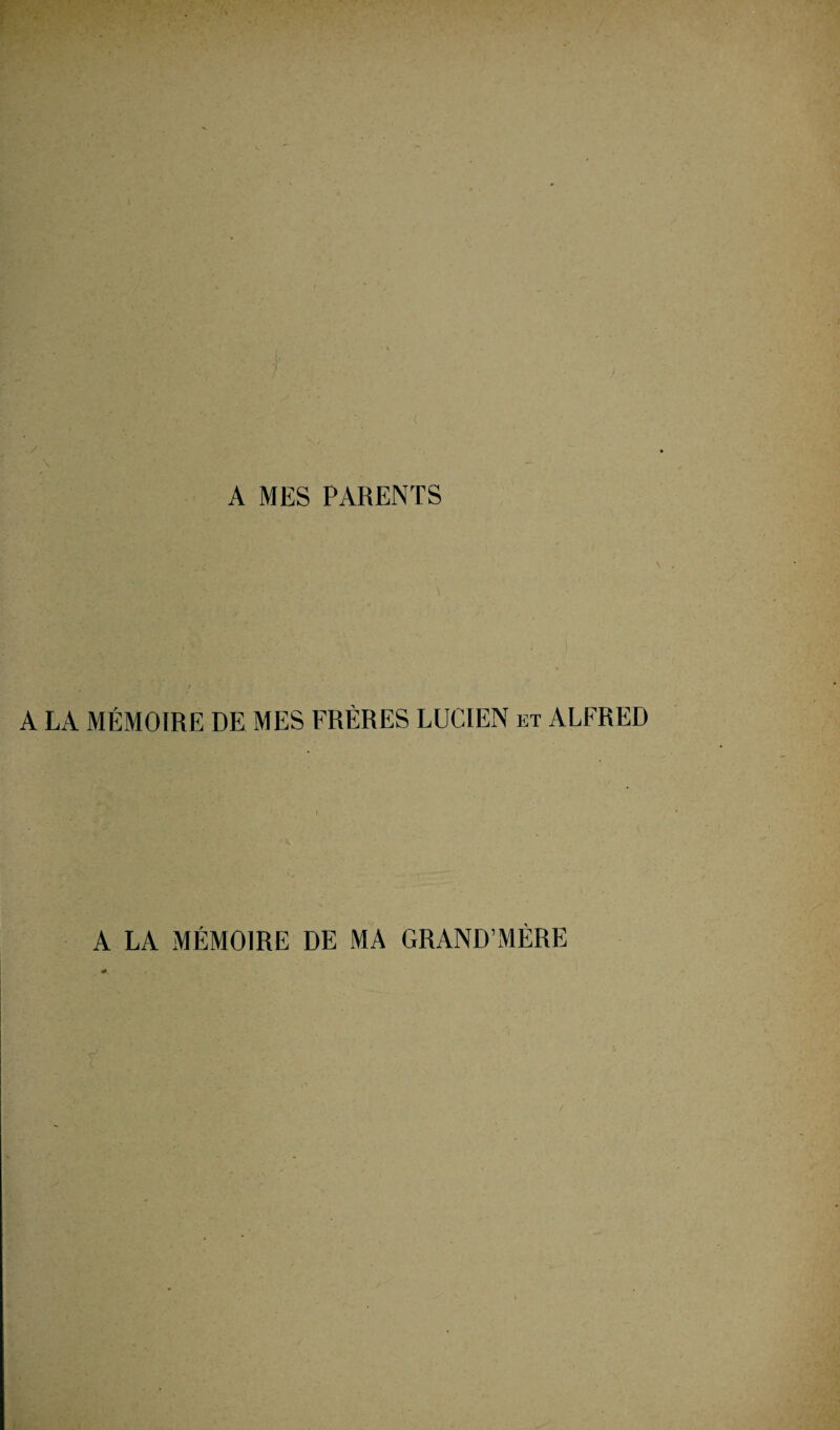 A MES PARENTS A LA MÉMOIRE DE MES FRÈRES LUCIEN et ALFRED I A LA MÉMOIRE DE MA GRAND’MÈRE