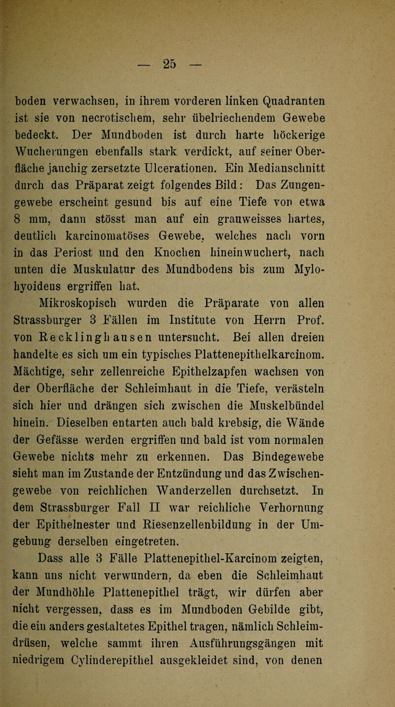 boden verwachsen, in ihrem vorderen linken Quadranten ist sie von necrotischem, sehr übelriechendem Gewebe bedeckt. Der Mundboden ist durch harte höckerige Wucherungen ebenfalls stark verdickt, auf seiner Ober¬ fläche jauchig zersetzte Ulcerationen. Ein Medianschnitt durch das Präparat zeigt folgendes Bild: Das Zungen¬ gewebe erscheint gesund bis auf eine Tiefe von etwa 8 mm, dann stösst man auf ein grauweisses hartes, deutlich karcinomatöses Gewebe, welches nach vorn in das Periost und den Knochen hinein wuchert, nach unten die Muskulatur des Mundbodens bis zum Mylo¬ hyoideus ergriffen hat. Mikroskopisch wurden die Präparate von allen Strassburger 8 Fällen im Institute von Herrn Prof, von Recklinghausen untersucht. Bei allen dreien Rändelte es sich um ein typisches Plattenepithelkarcinom. Mächtige, sehr zellenreiche Epithelzapfen wachsen von der Oberfläche der Schleimhaut in die Tiefe, verästeln sich hier und drängen sich zwischen die Muskelbündel hinein. Dieselben entarten auch bald krebsig, die Wände der Gefässe werden ergriffen und bald ist vom normalen Gewebe nichts mehr zu erkennen. Das Bindegewebe sieht man im Zustande der Entzündung und das Zwischen¬ gewebe von reichlichen Wanderzellen durchsetzt. In dem Strassburger Fall II war reichliche Verhornung der Epithelnester und Riesenzellenbjldung in der Um¬ gebung derselben eingetreten. Dass alle 8 Fälle Plattenepithel-Karcinom zeigten, kann uns nicht verwundern, da eben die Schleimhaut der Mundhöhle Plattenepithel trägt, wir dürfen aber nicht vergessen, dass es im Mundboden Gebilde gibt, die ein anders gestaltetes Epithel tragen, nämlich Schleim¬ drüsen, welche sammt ihren Ausführungsgängen mit niedrigem Cylinderepithel ausgekleidet sind, von denen