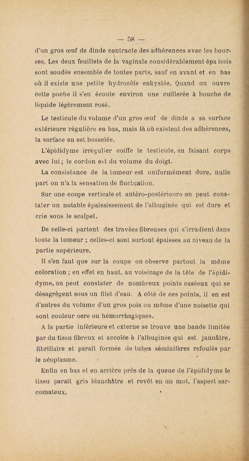 d’un gros œuf de dinde contracte des adhérences avec les bour¬ ses. Les deux feuillets de la vaginale considérablement épa issis sont soudés ensemble de toutes parts, sauf en avant et en bas où il existe une petite hydrocèle enkystée. Quand on ouvre cette poche il s’en écoule environ une cuillerée à bouche de liquide légèrement rosé. Le testicule du volume d’un gros œuf de dinde a sa surface extérieure régulière en bas, mais là où existent des adhérences, la surface en est bosselée. L’épididyme irrégulier coiffe le testicule, en faisant corps avec lui ; le cordon est du volume du doigt. La consistance de la tumeur est uniformément dure, nulle part on n’a la sensation de fluctuation. Sur une coupe verticale et antéro-postérieure on peut cons¬ tater un notable épaississement de l’albuginée qui est dure et crie sous le scalpel. De celle-ci partent des travées fibreuses qui s’irradient dans toute la tumeur ; celles-ci sont surtout épaisses au niveau de la partie supérieure. Il s’en faut que sur la coupe on observe partout la même coloration ; en effet en haut, au voisinage de la tête de l’épidi¬ dyme, on peut constater de nombreux points caséeux qui se désagrègent sous un filet d’eau. A côté de ces points, il en est d’autres du volume d’un gros pois ou même d’une noisette qui sont couleur ocre ou hémorrhagiques. A la partie inférieure et externe se trouve une bande limitée par du tissu fibreux et accolée à l’albuginée qui est jaunâtre, fibrillaire et paraît formée de tubes séminifères refoulés par le néoplasme. Enfin en bas et en arrière près de la queue de l’épididyme le tissu paraît gris blanchâtre et revêt en un mot, l’aspect sar¬ comateux.