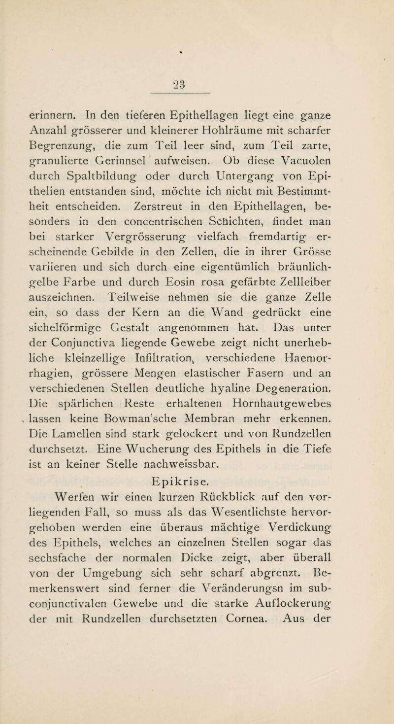 erinnern. In den tieferen Epithellagen liegt eine ganze Anzahl grösserer und kleinerer Hohlräume mit scharfer Begrenzung, die zum Teil leer sind, zum Teil zarte, granulierte Gerinnsel aufweisen. Ob diese Vacuolen durch Spaltbildung oder durch Untergang von Epi- thelien entstanden sind, möchte ich nicht mit Bestimmt¬ heit entscheiden. Zerstreut in den Epithellagen, be¬ sonders in den concentrischen Schichten, findet man bei starker Vergrösserung vielfach fremdartig er¬ scheinende Gebilde in den Zellen, die in ihrer Grösse variieren und sich durch eine eigentümlich bräunlich¬ gelbe Farbe und durch Eosin rosa gefärbte Zellleiber auszeichnen. Teilweise nehmen sie die ganze Zelle ein, so dass der Kern an die Wand gedrückt eine sichelförmige Gestalt angenommen hat. Das unter der Conjunctiva liegende Gewebe zeigt nicht unerheb¬ liche kleinzellige Infiltration^ verschiedene Haemor- rhagien, grössere Mengen elastischer Fasern und an verschiedenen Stellen deutliche hyaline Degeneration. Die spärlichen Reste erhaltenen Hornhautgewebes , lassen keine Bowman’sche Membran mehr erkennen. Die Lamellen sind stark gelockert und von Rundzellen durchsetzt. Eine Wucherung des Epithels in die Tiefe ist an keiner Stelle nachweissbar. Epikrise. Werfen wir einen kurzen Rückblick auf den vor¬ liegenden Fall, so muss als das Wesentlichste hervor¬ gehoben werden eine überaus mächtige Verdickung des Epithels, welches an einzelnen Stellen sogar das sechsfache der normalen Dicke zeigt, aber überall von der Umgebung sich sehr scharf abgrenzt. Be¬ merkenswert sind ferner die Veränderungsn im sub- conjunctivalen Gewebe und die starke Auflockerung der mit Rundzellen durchsetzten Cornea. Aus der