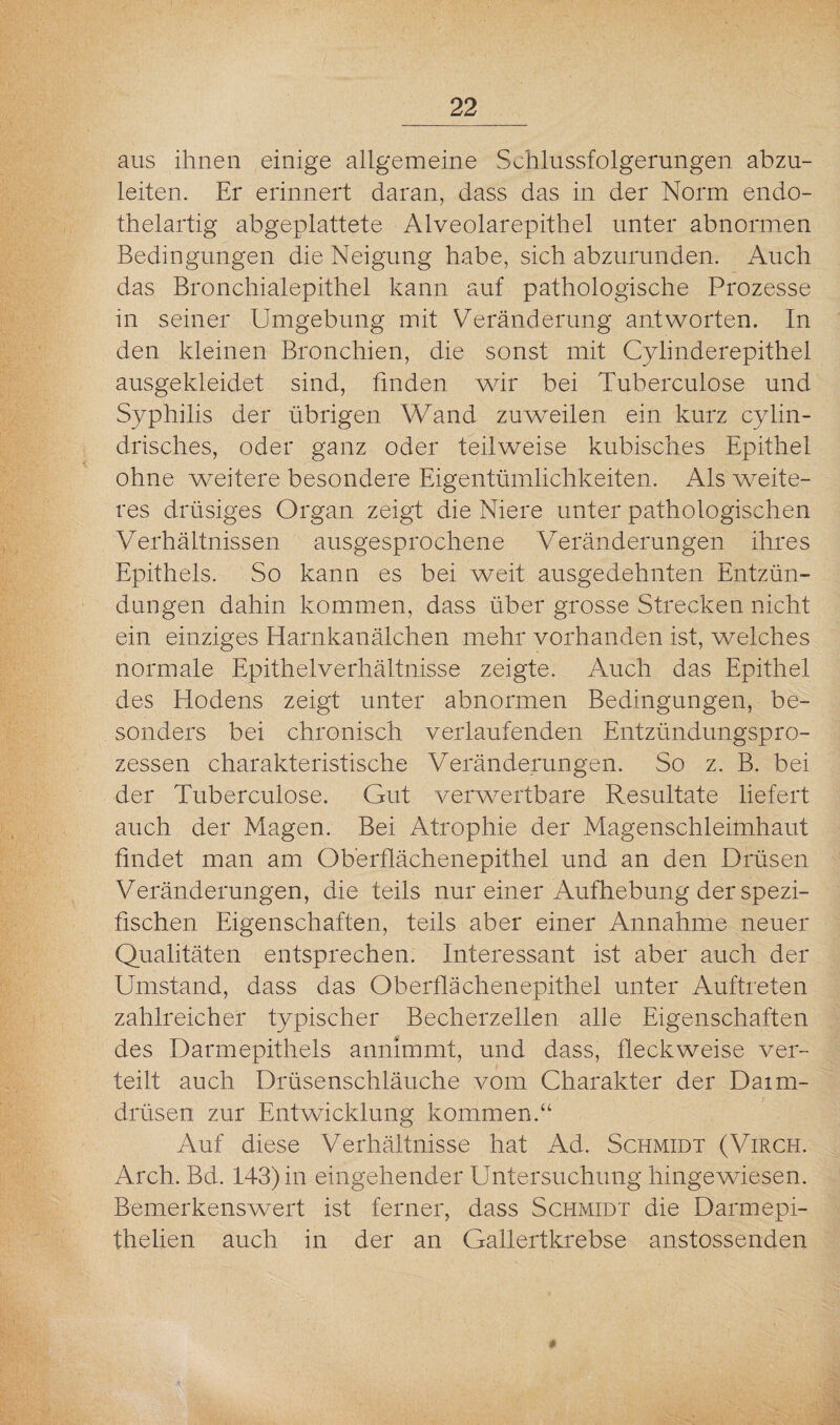 aus ihnen einige allgemeine Schlussfolgerungen abzu¬ leiten. Er erinnert daran, dass das in der Norm endo¬ thelartig abgeplattete Alveolarepithel unter abnormen Bedingungen die Neigung habe, sich abzurunden. Auch das Bronchialepithel kann auf pathologische Prozesse in seiner Umgebung mit Veränderung antworten. In den kleinen Bronchien, die sonst mit Cylinderepithel ausgekleidet sind, finden wir bei Tuberculose und Syphilis der übrigen Wand zuweilen ein kurz cylin¬ drisches, oder ganz oder teilweise kubisches Epithel ohne weitere besondere Eigentümlichkeiten. Als weite¬ res drüsiges Organ zeigt die Niere unter pathologischen Verhältnissen ausgesprochene Veränderungen ihres Epithels. So kann es bei weit ausgedehnten Entzün¬ dungen dahin kommen, dass über grosse Strecken nicht ein einziges Harnkanälchen mehr vorhanden ist, welches normale Epithelverhältnisse zeigte. Auch das Epithel des Hodens zeigt unter abnormen Bedingungen, be¬ sonders bei chronisch verlaufenden Entzündungspro¬ zessen charakteristische Veränderungen. So z. B. bei der Tuberculose. Gut verwertbare Resultate liefert auch der Magen. Bei Atrophie der Magenschleimhaut findet man am Oberflächenepithel und an den Drüsen Veränderungen, die teils nur einer Aufhebung der spezi¬ fischen Eigenschaften, teils aber einer Annahme neuer Qualitäten entsprechen. Interessant ist aber auch der Umstand, dass das Oberflächenepithel unter Auftreten zahlreicher typischer Becherzellen alle Eigenschaften des Darmepithels annimmt, und dass, fleckweise ver¬ teilt auch Drüsenschläuche vom Charakter der Daim- drüsen zur Entwicklung kommen.“ Auf diese Verhältnisse hat Ad. Schmidt (Virch. Arch. Bd. 143) in eingehender Untersuchung hingewiesen. Bemerkenswert ist ferner, dass Schmidt die Darmepi- thelien auch in der an Gallertkrebse anstossenden