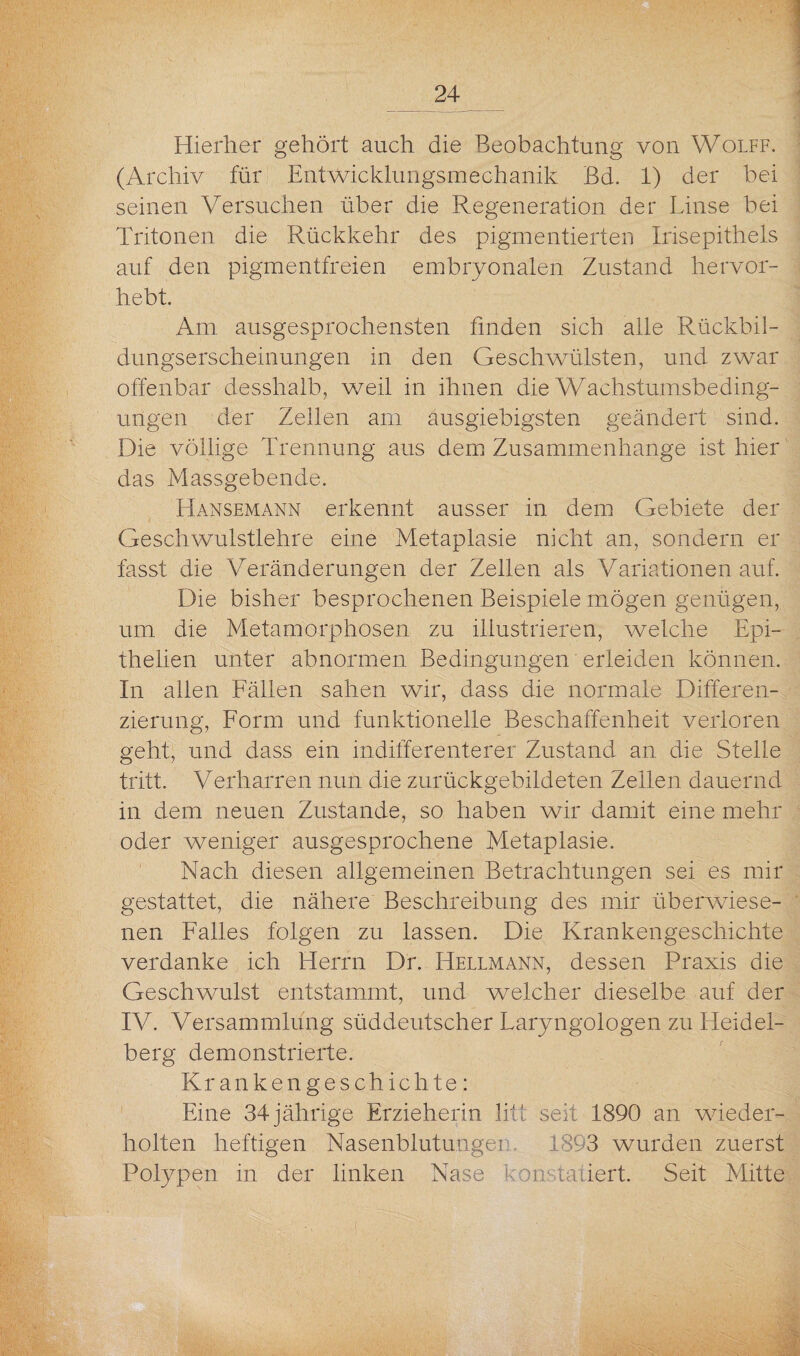 Hierher gehört auch die Beobachtung von Wolff. (Archiv für Entwicklungsmechanik Bd. 1) der bei seinen Versuchen über die Regeneration der Linse bei Tritonen die Rückkehr des pigmentierten Irisepithels auf den pigmentfreien embryonalen Zustand hervor¬ hebt. Am ausgesprochensten finden sich alle Rückbil¬ dungserscheinungen in den Geschwülsten, und zwar offenbar desshalb, weil in ihnen die Wachstumsbeding¬ ungen der Zellen am ausgiebigsten geändert sind. Die völlige Trennung aus dem Zusammenhänge ist hier das Massgebende. Hansemann erkennt ausser in dem Gebiete der Geschwulstlehre eine Metaplasie nicht an, sondern er fasst die Veränderungen der Zellen als Variationen auf. Die bisher besprochenen Beispiele mögen genügen, um die Metamorphosen zu illustrieren, welche Epi- thelien unter abnormen Bedingungen erleiden können. In allen Fällen sahen wir, dass die normale Differen¬ zierung, Form und funktionelle Beschaffenheit verloren geht, und dass ein indifferenterer Zustand an die Stelle tritt. Verharren nun die zurückgebildeten Zellen dauernd in dem neuen Zustande, so haben wir damit eine mehr oder weniger ausgesprochene Metaplasie. Nach diesen allgemeinen Betrachtungen sei es mir gestattet, die nähere Beschreibung des mir überwiese¬ nen Falles folgen zu lassen. Die Krankengeschichte verdanke ich Herrn Dr. Hellmann, dessen Praxis die Geschwulst entstammt, und welcher dieselbe auf der IV. Versammlung süddeutscher Laryngologen zu Heidel¬ berg demonstrierte. Krankengeschichte: Eine 34jährige Erzieherin litt seit 1890 an wieder¬ holten heftigen Nasenblutunger. 1893 wurden zuerst Polypen in der linken Nase konstatiert. Seit Mitte