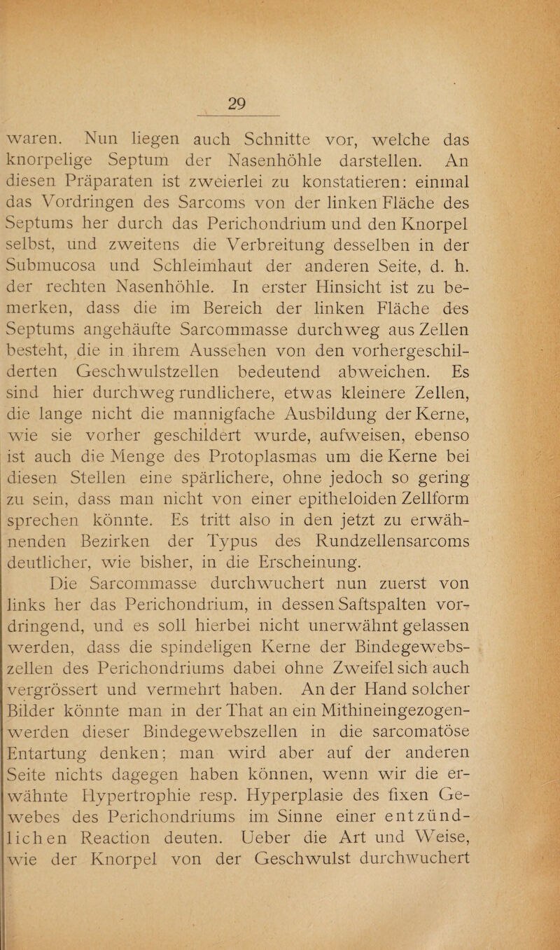 waren. Nun liegen auch Schnitte vor, welche das knorpelige Septum der Nasenhöhle darstellen. An diesen Präparaten ist zweierlei zu konstatieren: einmal das Vordringen des Sarcoms von der linken Fläche des Septums her durch das Perichondrium und den Knorpel selbst, und zweitens die Verbreitung desselben in der Submucosa und Schleimhaut der anderen Seite, d. h. der rechten Nasenhöhle. In erster Hinsicht ist zu be¬ merken, dass die im Bereich der linken Fläche des Septums angehäufte Sarcommasse durchweg aus Zellen besteht, die in ihrem Aussehen von den vorhergeschil¬ derten Geschwulstzellen bedeutend abweichen. Es sind hier durchweg rundlichere, etwas kleinere Zellen, die lange nicht die mannigfache Ausbildung der Kerne, wie sie vorher geschildert wurde, aufweisen, ebenso ist auch die Menge des Protoplasmas um die Kerne bei diesen Stellen eine spärlichere, ohne jedoch so gering zu sein, dass man nicht von einer epitheloiden Zellform sprechen könnte. Es tritt also in den jetzt zu erwäh¬ nenden Bezirken der Typus des Rundzellensarcoms deutlicher, wie bisher, in die Erscheinung. Die Sarcommasse durchwuchert nun zuerst von links her das Perichondrium, in dessen Saftspalten vor¬ dringend, und es soll hierbei nicht unerwähnt gelassen werden, dass die spindeligen Kerne der Bindegewebs¬ zellen des Perichondriums dabei ohne Zweifel sich auch vergrössert und vermehrt haben. An der Hand solcher Bilder könnte man in der That an ein Mithineingezogen¬ werden dieser Bindegewebszellen in die sarcomatöse Entartung denken; man wird aber auf der anderen Seite nichts dagegen haben können, wenn wir die er¬ wähnte Flypertrophie resp. Hyperplasie des fixen Ge- wmbes des Perichondriums im Sinne einer entzünd¬ lichen Reaction deuten. Ueber die Art und Weise, wie der Knorpel von der Geschwulst durchwuchert