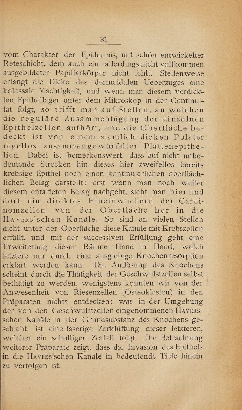 vom Charakter der Epidermis, mit schön entwickelter Reteschicht, dem auch ein allerdings nicht vollkommen ausgebildeter Papillarkörper nicht fehlt. Stellenweise erlangt die Dicke des dermoidalen Ueberzuges eine kolossale Mächtigkeit, und wenn man diesem verdick¬ ten Epithellager unter dem Mikroskop in der Continui- tät folgt, so trifft man auf Stellen, an welchen die reguläre Zusammenfügung der einzelnen Epithelzellen aufhört, und die Oberfläche be¬ deckt ist von einem ziemlich dicken Polster regellos zusammengewürfelter Plattenepithe- lien. Dabei ist bemerkenswert, dass auf nicht unbe¬ deutende Strecken hin dieses hier zweifellos bereits krebsige Epithel noch einen kontinuierlichen oberfläch¬ lichen Belag darstellt: erst wenn man noch weiter diesem entarteten Belag nachgeht, sieht man hierund dort ein direktes Hineinwuchern der Carci- nomzellen von der Oberfläche her in die HAVERs’schen Kanäle. So sind an vielen Stellen dicht unter der Oberfläche diese Kanäle mit Krebszellen erfüllt, und mit der successiven Erfüllung geht eine Et Weiterung dieser Räume Hand in Hand, welch letztere nur durch eine ausgiebige Knochenresorption erklärt werden kann. Die Auflösung des Knochens scheint durch die Thätigkeit der Geschwulstzellen selbst bethätigt zu werden, wenigstens konnten wir von der Anwesenheit von Riesenzellen (Osteoklasten) in den Präparaten nichts entdecken; was in der Umgebung der von den Geschwulstzellen eingenommenen Havers- schen Kanäle in der Grundsubstanz des Knochens ge¬ schieht, ist eine faserige Zerklüftung dieser letzteren, welcher ein scholliger Zerfall folgt. Die Betrachtung weiterer Präparate zeigt, dass die Invasion des Epithels in die HAVERs’schen Kanäle in bedeutende Tiefe hinein zu verfolgen ist.