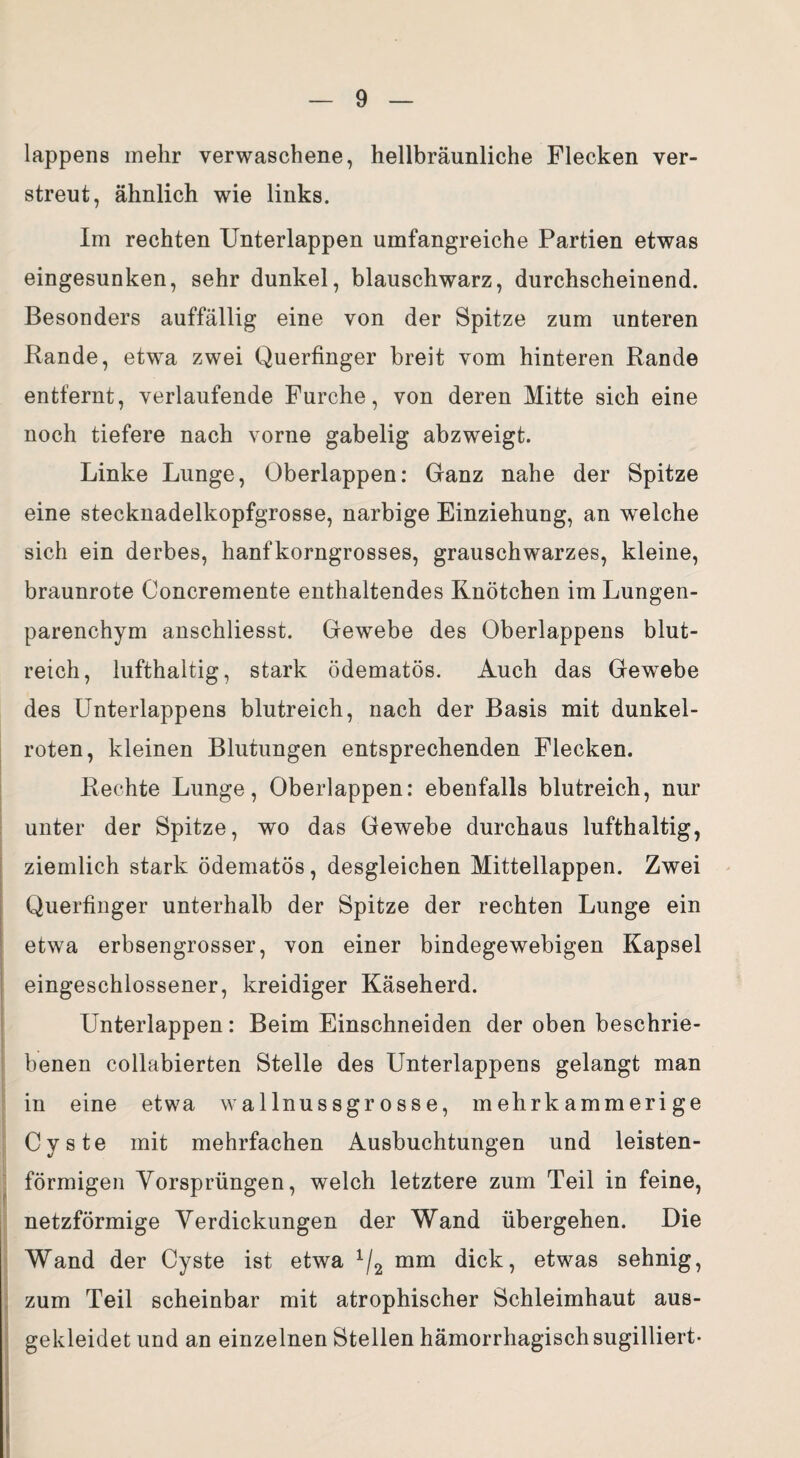 lappens mehr verwaschene, hellbräunliche Flecken ver¬ streut, ähnlich wie links. Im rechten Unterlappen umfangreiche Partien etwas eingesunken, sehr dunkel, blauschwarz, durchscheinend. Besonders auffällig eine von der Spitze zum unteren Rande, etwa zwei Querfinger breit vom hinteren Rande entfernt, verlaufende Furche, von deren Mitte sich eine noch tiefere nach vorne gabelig abzweigt. Linke Lunge, Oberlappen: Glanz nahe der Spitze eine stecknadelkopfgrosse, narbige Einziehung, an welche sich ein derbes, hanfkorngrosses, grauschwarzes, kleine, braunrote Concremente enthaltendes Knötchen im Lungen¬ parenchym anschliesst. Gewebe des Oberlappens blut¬ reich, lufthaltig, stark ödematös. Auch das Gewebe des Unterlappens blutreich, nach der Basis mit dunkel¬ roten, kleinen Blutungen entsprechenden Flecken. Rechte Lunge, Oberlappen: ebenfalls blutreich, nur unter der Spitze, wo das Gewebe durchaus lufthaltig, ziemlich stark ödematös, desgleichen Mittellappen. Zwei Querfinger unterhalb der Spitze der rechten Lunge ein etwa erbsengrosser, von einer bindegewebigen Kapsel eingeschlossener, kreidiger Käseherd. Unterlappen: Beim Einschneiden der oben beschrie¬ benen collabierten Stelle des Unterlappens gelangt man in eine etwa wallnussgrosse, m ehrk amm eri ge Cyste mit mehrfachen Ausbuchtungen und leisten¬ förmigen Vorsprüngen, welch letztere zum Teil in feine, netzförmige Verdickungen der Wand übergehen. Die Wand der Cyste ist etwa x/2 mm dick, etwas sehnig, zum Teil scheinbar mit atrophischer Schleimhaut aus¬ gekleidet und an einzelnen Stellen hämorrhagisch sugilliert-