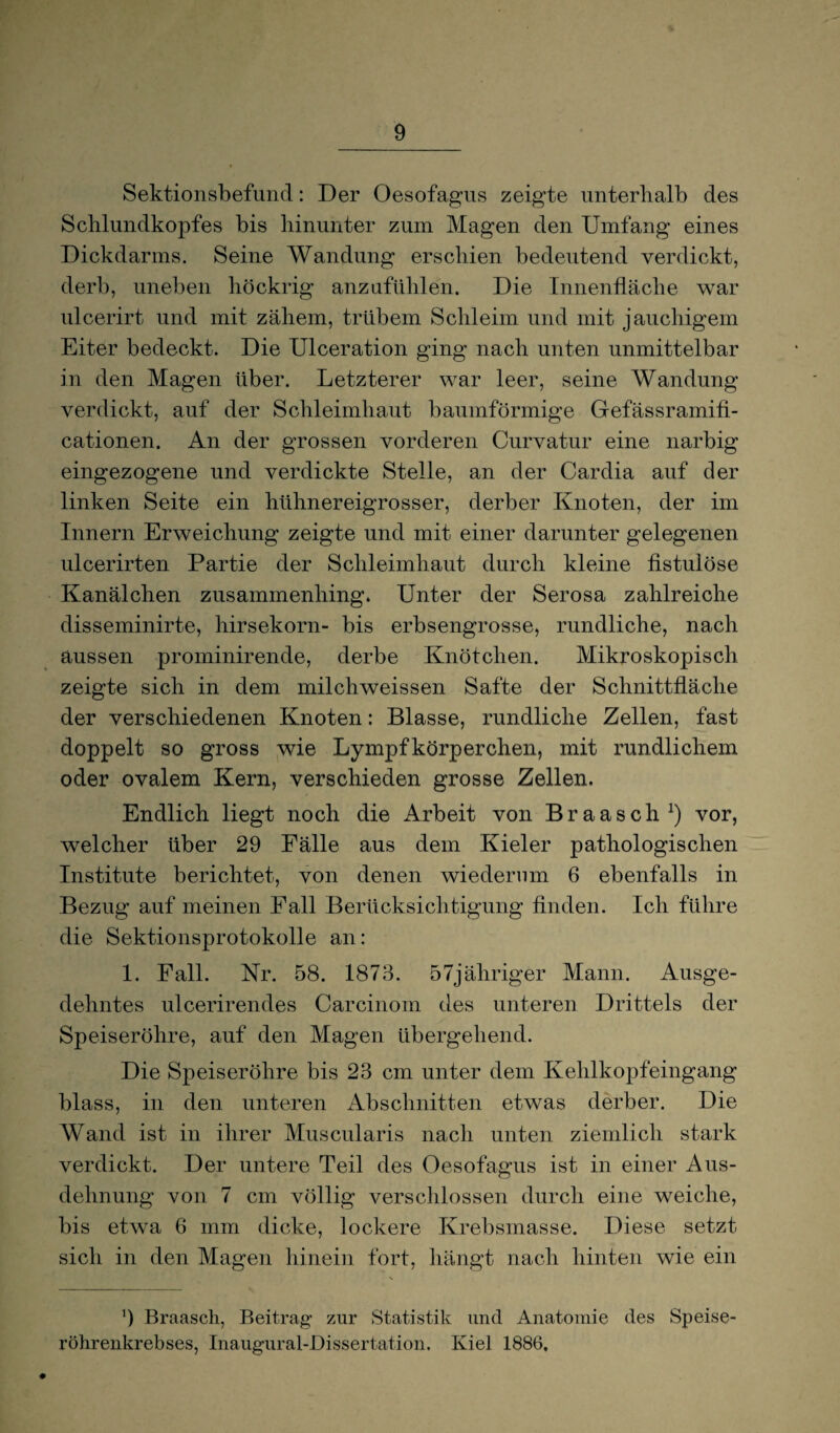 Sektionsbefund: Der Oesofagus zeigte unterhalb des Schlundkopfes bis hinunter zum Magen den Umfang eines Dickdarms. Seine Wandung erschien bedeutend verdickt, derb, uneben höckrig anzufühlen. Die Innenfläche war ulcerirt und mit zähem, trübem Schleim und mit jauchigem Eiter bedeckt. Die Ulceration ging nach unten unmittelbar in den Magen über. Letzterer war leer, seine Wandung verdickt, auf der Schleimhaut baumförmige Gefässramifi- cationen. An der grossen vorderen Curvatur eine narbig eingezogene und verdickte Stelle, an der Cardia auf der linken Seite ein hühnereigrosser, derber Knoten, der im Innern Erweichung zeigte und mit einer darunter gelegenen ulcerirten Partie der Schleimhaut durch kleine fistulöse Kanälchen zusammenhing. Unter der Serosa zahlreiche disseminirte, hirsekorn- bis erbsengrosse, rundliche, nach aussen prominirende, derbe Knötchen. Mikroskopisch zeigte sich in dem milchweissen Safte der Schnittfläche der verschiedenen Knoten: Blasse, rundliche Zellen, fast doppelt so gross wie Lympfkörperchen, mit rundlichem oder ovalem Kern, verschieden grosse Zellen. Endlich liegt noch die Arbeit von Braasch1) vor, welcher über 29 Fälle aus dem Kieler pathologischen Institute berichtet, von denen wiederum 6 ebenfalls in Bezug auf meinen Fall Berücksichtigung finden. Ich führe die Sektionsprotokolle an: 1. Fall. Kr. 58. 1873. 57jäliriger Mann. Ausge¬ dehntes ulcerirendes Carcinom des unteren Drittels der Speiseröhre, auf den Magen übergehend. Die Speiseröhre bis 23 cm unter dem Kehlkopfeingang blass, in den unteren Abschnitten etwas derber. Die Wand ist in ihrer Muscularis nach unten ziemlich stark verdickt. Der untere Teil des Oesofagus ist in einer Aus¬ dehnung von 7 cm völlig verschlossen durch eine weiche, bis etwa 6 mm dicke, lockere Krebsmasse. Diese setzt sich in den Magen hinein fort, hängt nach hinten wie ein \ ü Braasch, Beitrag’ zur Statistik und Anatomie des Speise- röhrenkrebses, Inaugural-Dissertation. Kiel 1886,