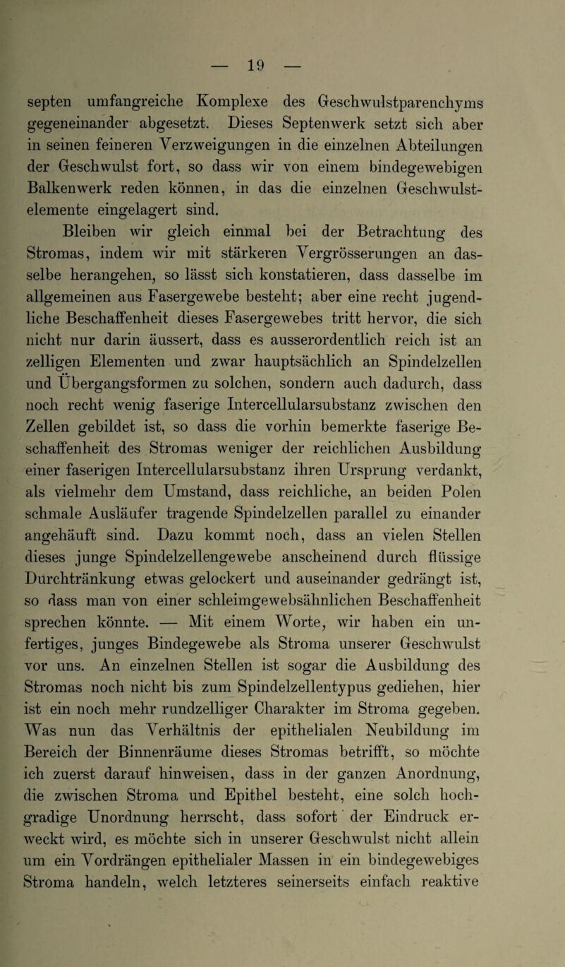 septen umfangreiche Komplexe des Geschwulstparenchyms gegeneinander abgesetzt. Dieses Septenwerk setzt sich aber in seinen feineren Verzweigungen in die einzelnen Abteilungen der Geschwulst fort, so dass wir von einem bindegewebigen Balkenwerk reden können, in das die einzelnen Geschwulst¬ elemente eingelagert sind. Bleiben wir gleich einmal bei der Betrachtung des Stromas, indem wir mit stärkeren Vergrösserungen an das¬ selbe herangehen, so lässt sich konstatieren, dass dasselbe im allgemeinen aus Fasergewebe besteht; aber eine recht jugend¬ liche Beschaffenheit dieses Fasergewebes tritt hervor, die sich nicht nur darin äussert, dass es ausserordentlich reich ist an zeitigen Elementen und zwar hauptsächlich an Spindelzellen und Übergangsformen zu solchen, sondern auch dadurch, dass noch recht wenig faserige Intercellularsubstanz zwischen den Zellen gebildet ist, so dass die vorhin bemerkte faserige Be¬ schaffenheit des Stromas weniger der reichlichen Ausbildung einer faserigen Intercellularsubstanz ihren Ursprung verdankt, als vielmehr dem Umstand, dass reichliche, an beiden Polen schmale Ausläufer tragende Spindelzellen parallel zu einander angehäuft sind. Dazu kommt noch, dass an vielen Stellen dieses junge Spindelzellengewebe anscheinend durch flüssige Durchtränkung etwas gelockert und auseinander gedrängt ist, so dass man von einer schleimgewebsähnlichen Beschaffenheit sprechen könnte. — Mit einem Worte, wir haben ein un¬ fertiges, junges Bindegewebe als Stroma unserer Geschwulst vor uns. An einzelnen Stellen ist sogar die Ausbildung des Stromas noch nicht bis zum Spindelzellentypus gediehen, hier ist ein noch mehr rundzeiliger Charakter im Stroma gegeben. Was nun das Verhältnis der epithelialen Neubildung im Bereich der Binnenräume dieses Stromas betrifft, so möchte ich zuerst darauf hinweisen, dass in der ganzen Anordnung, die zwischen Stroma und Epithel besteht, eine solch hoch¬ gradige Unordnung herrscht, dass sofort der Eindruck er¬ weckt wird, es möchte sich in unserer Geschwulst nicht allein um ein Vordrängen epithelialer Massen in ein bindegewebiges Stroma handeln, welch letzteres seinerseits einfach reaktive