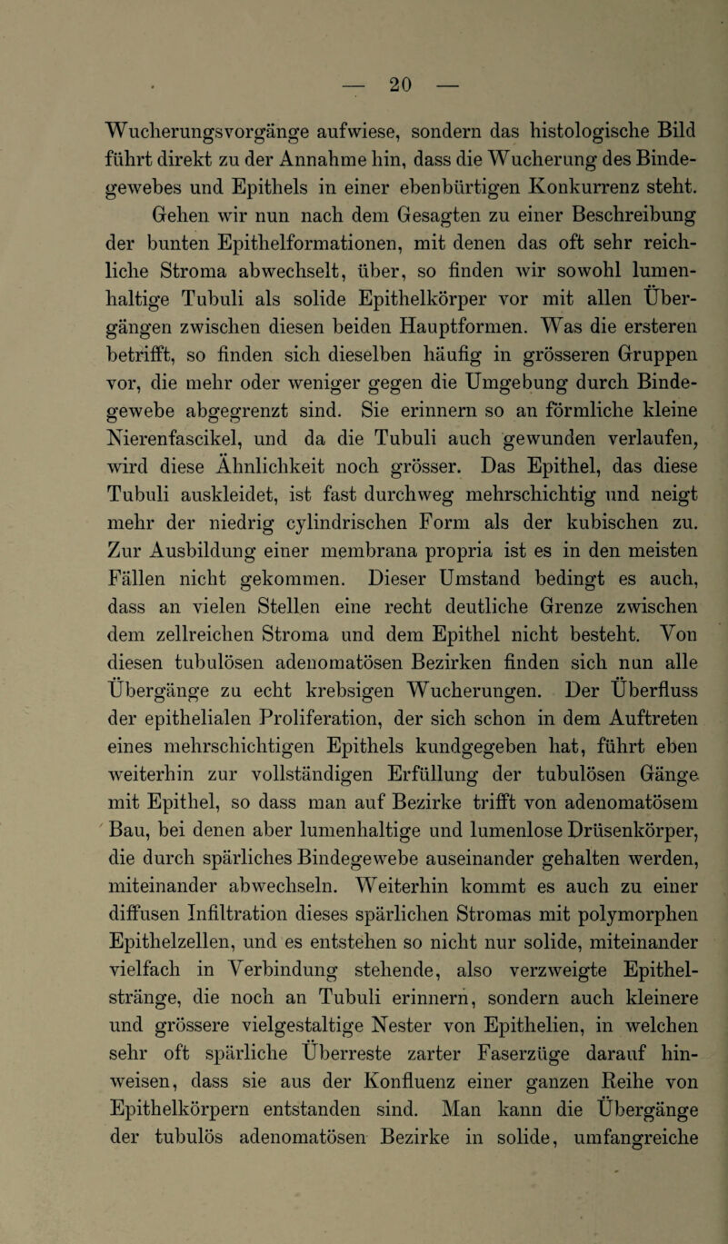 Wucherungs Vorgänge aufwiese, sondern das histologische Bild führt direkt zu der Annahme hin, dass die Wucherung des Binde¬ gewebes und Epithels in einer ebenbürtigen Konkurrenz steht. Gehen wir nun nach dem Gesagten zu einer Beschreibung der bunten Epithelformationen, mit denen das oft sehr reich¬ liche Stroma ab wechselt, über, so finden wir sowohl lumen¬ haltige Tubuli als solide Epithelkörper vor mit allen Über¬ gängen zwischen diesen beiden Hauptformen. Was die ersteren betrifft, so finden sich dieselben häufig in grösseren Gruppen vor, die mehr oder weniger gegen die Umgebung durch Binde¬ gewebe abgegrenzt sind. Sie erinnern so an förmliche kleine Nierenfascikel, und da die Tubuli auch gewunden verlaufen, • • wird diese Ähnlichkeit noch grösser. Das Epithel, das diese Tubuli auskleidet, ist fast durchweg mehrschichtig und neigt mehr der niedrig cylindrischen Form als der kubischen zu. Zur Ausbildung einer membrana propria ist es in den meisten Fällen nicht gekommen. Dieser Umstand bedingt es auch, dass an vielen Stellen eine recht deutliche Grenze zwischen dem zellreichen Stroma und dem Epithel nicht besteht. Von diesen tubulösen adenomatösen Bezirken finden sich nun alle • • •• Übergänge zu echt krebsigen Wucherungen. Der Überfluss der epithelialen Proliferation, der sich schon in dem Auftreten eines mehrschichtigen Epithels kundgegeben hat, führt eben weiterhin zur vollständigen Erfüllung der tubulösen Gänge mit Epithel, so dass man auf Bezirke trifft von adenomatösem Bau, bei denen aber lumenhaltige und lumenlose Drüsenkörper, die durch spärliches Bindegewebe auseinander gehalten werden, miteinander ab wechseln. Weiterhin kommt es auch zu einer diffusen Infiltration dieses spärlichen Stromas mit polymorphen Epithelzellen, und es entstehen so nicht nur solide, miteinander vielfach in Verbindung stehende, also verzweigte Epithel¬ stränge, die noch an Tubuli erinnern, sondern auch kleinere und grössere vielgestaltige Nester von Epithelien, in welchen sehr oft spärliche Überreste zarter Faserzüge darauf hin- weisen, dass sie aus der Konfluenz einer ganzen Reihe von Epithelkörpern entstanden sind. Man kann die Übergänge der tubulös adenomatösen Bezirke in solide, umfangreiche