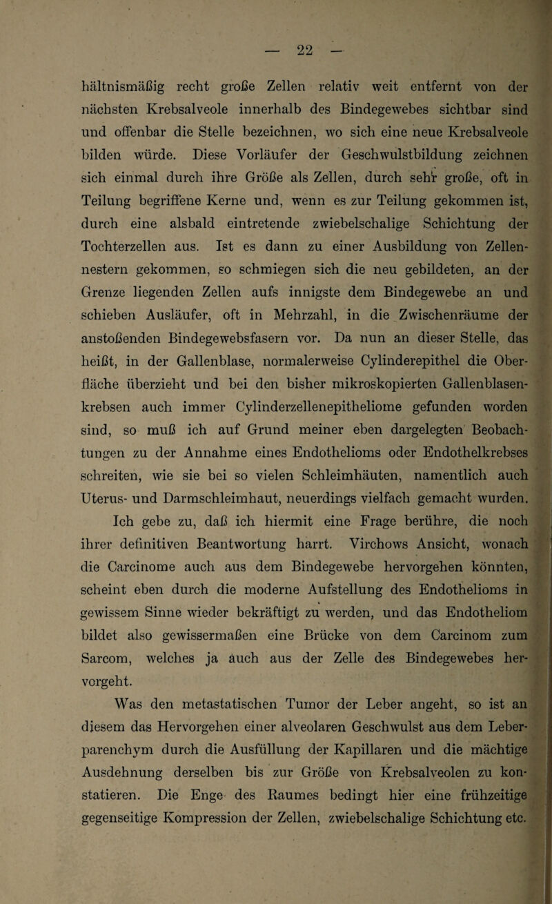 hältnismäßig recht große Zellen relativ weit entfernt von der nächsten Krebsalveole innerhalb des Bindegewebes sichtbar sind und offenbar die Stelle bezeichnen, wo sich eine neue Krebsalveole bilden würde. Diese Vorläufer der Geschwulstbildung zeichnen sich einmal durch ihre Größe als Zellen, durch seht große, oft in Teilung begriffene Kerne und, wenn es zur Teilung gekommen ist, durch eine alsbald eintretende zwiebelschalige Schichtung der Tochterzellen aus. Ist es dann zu einer Ausbildung von Zellen¬ nestern gekommen, so schmiegen sich die neu gebildeten, an der Grenze liegenden Zellen aufs innigste dem Bindegewebe an und schieben Ausläufer, oft in Mehrzahl, in die Zwischenräume der anstoßenden Bindegewebsfasern vor. Da nun an dieser Stelle, das heißt, in der Gallenblase, normalerweise Cylinderepithel die Ober¬ fläche überzieht und bei den bisher mikroskopierten Gallenblasen¬ krebsen auch immer Cylinderzellenepitheliome gefunden worden sind, so muß ich auf Grund meiner eben dargelegten Beobach¬ tungen zu der Annahme eines Endothelioms oder Endothelkrebses schreiten, wie sie bei so vielen Schleimhäuten, namentlich auch Uterus- und Darmschleimhaut, neuerdings vielfach gemacht wurden. Ich gebe zu, daß ich hiermit eine Frage berühre, die noch ihrer definitiven Beantwortung harrt. Virchows Ansicht, wonach die Carcinome auch aus dem Bindegewebe hervorgehen könnten, scheint eben durch die moderne Aufstellung des Endothelioms in % gewissem Sinne wieder bekräftigt zu werden, und das Endotheliom bildet also gewissermaßen eine Brücke von dem Carcinom zum Sarcom, welches ja auch aus der Zelle des Bindegewebes her¬ vorgeht. Was den metastatischen Tumor der Leber angeht, so ist an diesem das Hervorgehen einer alveolaren Geschwulst aus dem Leber¬ parenchym durch die Ausfüllung der Kapillaren und die mächtige Ausdehnung derselben bis zur Größe von Krebsalveolen zu kon¬ statieren. Die Enge- des Raumes bedingt hier eine frühzeitige gegenseitige Kompression der Zellen, zwiebelschalige Schichtung etc.