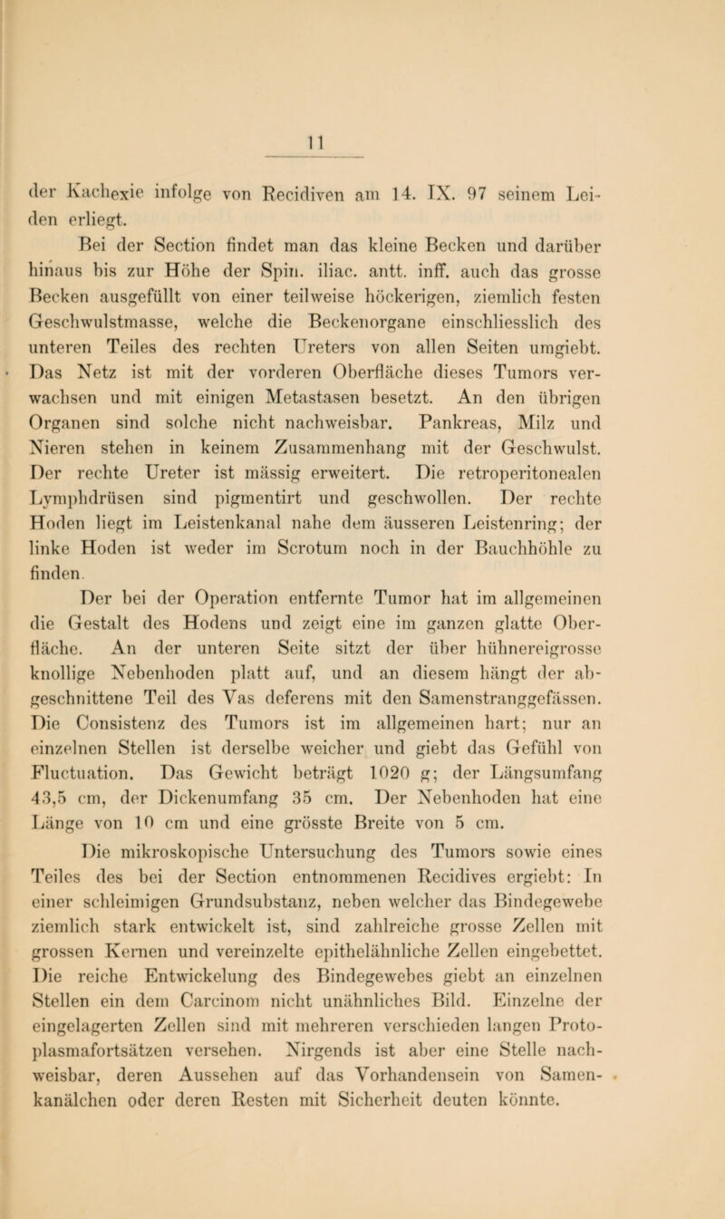 der Kachexie infolge von Recidiven am 14. IX. 97 seinem Lei¬ den erliegt. Bei der Section findet man das kleine Becken und darüber hinaus bis zur Höhe der Spin, iliac. antt. inff. auch das grosse Becken ausgefüllt von einer teilweise höckerigen, ziemlich festen Geschwulstmasse, welche die Beckenorgane einschliesslich des unteren Teiles des rechten Kreters von allen Seiten umgieht. Das Netz ist mit der vorderen Oberfläche dieses Tumors ver¬ wachsen und mit einigen Metastasen besetzt. An den übrigen Organen sind solche nicht nachweisbar. Pankreas, Milz und Nieren stehen in keinem Zusammenhang mit der Geschwulst. Der rechte Ureter ist massig erweitert. Die retroperitonealen Lymphdrüsen sind pigmentirt und geschwollen. Der rechte Hoden liegt im Leistenkanal nahe dem äusseren Leistenring; der linke Hoden ist weder im Scrotum noch in der Bauchhöhle zu finden Der bei der Operation entfernte Tumor hat im allgemeinen die Gestalt des Hodens und zeigt eine im ganzen glatte Ober¬ fläche. An der unteren Seite sitzt der über hühnereigrosse knollige Nebenhoden platt auf, und an diesem hängt der ab¬ geschnittene Teil des Yas deferens mit den Samenstranggefässen. Die Consistenz des Tumors ist im allgemeinen hart; nur an einzelnen Stellen ist derselbe weicher und giebt das Gefühl von Fluctuation. Das Gewicht beträgt 1020 g; der Längsumfang 43,5 cm, der Dickenumfang 35 cm. Der Nebenhoden hat eine Länge von 10 cm und eine grösste Breite von 5 cm. Die mikroskopische Untersuchung des Tumors sowie eines Teiles des bei der Section entnommenen Recidives ergiebt: In einer schleimigen Grundsubstanz, neben welcher das Bindegewebe ziemlich stark entwickelt ist, sind zahlreiche grosse Zellen mit grossen Kernen und vereinzelte epithelähnliche Zellen eingebettet. Die reiche Entwickelung des Bindegewebes giebt an einzelnen Stellen ein dem Carcinom nicht unähnliches Bild. Einzelne der eingelagerten Zellen sind mit mehreren verschieden langen Proto¬ plasmafortsätzen versehen. Nirgends ist aber eine Stelle nach¬ weisbar, deren Aussehen auf das Vorhandensein von Samen¬ kanälchen oder deren Resten mit Sicherheit deuten könnte.