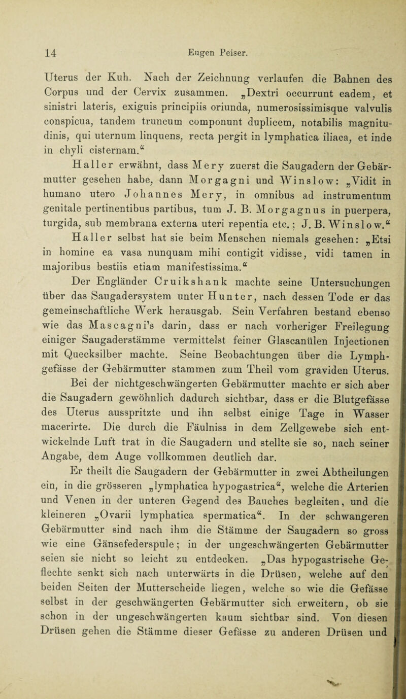 Uterus der Kuh. Nach der Zeichnung verlaufen die Bahnen des Corpus und der Cervix zusammen. „Dextri oecurrunt eadem, et sinistri lateris; exiguis principiis oriunda, numerosissimisque valvulis conspicua, tandem truncum componunt duplicem, notabilis magnitu- dinis, qui uternum linquens, recta pergit in lymphatica iliaca, et inde in chyli cisternam.“ Haller erwähnt, dass Mery zuerst die Saugadern der Gebär¬ mutter gesehen habe, dann Morgagni und Winslow: „Vidit in humano utero Johannes Mery, in omnibus ad instrumentum genitale pertinentibus partibus, tum J. B. Morgagnus in puerpera, turgida, sub membrana externa uteri repentia etc.; J. B. Winslow.“ Haller selbst hat sie beim Menschen niemals gesehen: „Etsi in homine ea vasa nunquam mihi contigit vidisse, vidi tarnen in majoribus bestiis etiam manifestissima.“ Der Engländer Cruikshank machte seine Untersuchungen über das Saugadersystem unter Hunter, nach dessen Tode er das gemeinschaftliche Werk herausgab. Sein Verfahren bestand ebenso wie das Mascagni’s darin, dass er nach vorheriger Freilegung einiger Saugaderstämme vermittelst feiner Glascanülen Injectionen mit Quecksilber machte. Seine Beobachtungen über die Lymph- gefässe der Gebärmutter stammen zum Theil vom graviden Uterus. Bei der nichtgeschwängerten Gebärmutter machte er sich aber die Saugadern gewöhnlich dadurch sichtbar, dass er die Blutgefässe des Uterus ausspritzte und ihn selbst einige Tage in Wasser macerirte. Die durch die Fäulniss in dem Zellgewebe sich ent¬ wickelnde Luft trat in die Saugadern und stellte sie so, nach seiner Angabe, dem Auge vollkommen deutlich dar. Er theilt die Saugadern der Gebärmutter in zwei Abtheilungen ein, in die grösseren „lymphatica hypogastrica“, welche die Arterien und Venen in der unteren Gegend des Bauches begleiten, und die kleineren „Ovarii lymphatica spermatica“. In der schwangeren Gebärmutter sind nach ihm die Stämme der Saugadern so gross 1 wie eine Gänsefederspule; in der ungeschwängerten Gebärmutter seien sie nicht so leicht zu entdecken. „Das hypogastrische Ge¬ flechte senkt sich nach unterwärts in die Drüsen, welche auf den beiden Seiten der Mutterscheide liegen, welche so wie die Gefässe selbst in der geschwängerten Gebärmutter sich erweitern, ob sie 1 schon in der ungeschwängerten kaum sichtbar sind. Von diesen Drüsen gehen die Stämme dieser Gefässe zu anderen Drüsen und