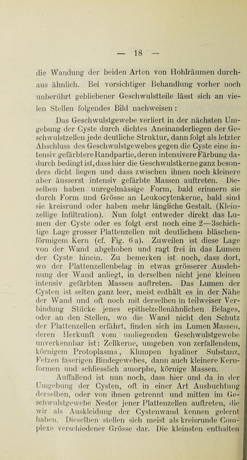 die Wandung der beiden Arten von Hohlräumen durch¬ aus ähnlich. Bei vorsichtiger Behandlung vorher noch unberührt gebliebener Geschwulstteile lässt sich an vie¬ len Stellen folgendes Bild nachweisen : Das Geschwulstgewebe verliert in der nächsten Um¬ gebung der Cyste durch dichtes Aneinanderliegen der Ge¬ schwulstzellen jede deutliche Struktur, dann folgt als letzter Abschluss des Geschwulstgewebes gegen die Cyste eine in¬ tensiv gefärbtere Randpartie, deren intensivere Färbung da¬ durch bedingt ist, dass hier die Geschwulstkerne ganz beson¬ ders dicht liegen und dass zwischen ihnen noch kleinere aber äusserst intensiv gefärbte Massen auftreten. Die¬ selben haben unregelmässige Form, bald erinnern sie durch Form und Grösse an Leukocytenkerne, bald sind sie kreisrund oder haben mehr längliche Gestalt. (Klein¬ zellige Infiltration). Nun folgt entweder direkt das Lu¬ men der Cyste oder es folgt erst noch eine °2—3schich- tige Lage grosser Plattenzellen mit deutlichem bläschen¬ förmigem Kern (cf. Fig. 6 a). Zuweilen ist diese Lage von cler Wand abgehoben und ragt frei in das Lumen der Cyste hinein. Zu bemerken ist noch, dass dort, wo der Plattenzellenbelag in etwas grösserer Ausdeh¬ nung der Wand anliegt, in derselben nicht jene kleinen intensiv gefärbten Massen auftreten. Das Lumen der Cysten ist selten ganz leer, meist enthält es in der Nähe der Wand und oft noch mit derselben in teilweiser Ver¬ bindung Stücke jenes epithelzellenähnlichen Belages, oder an den Stellen, wo die Wand nicht den Schutz der Plattenzellen erfährt, finden sich im Lumen Massen, deren Herkunft vom umliegenden Geschwulstgewebe unverkennbar ist: Zellkerne, umgeben von zerfallendem, körnigem Protoplasma, Klumpen hyaliner Substanz, Fetzen faserigen Bindegewebes, dann auch kleinere Kern¬ formen und schliesslich amorphe, körnige Massen. Auffallend ist nun noch, dass hier und da in der Umgebung der Cysten, oft in einer Art Ausbuchtung derselben, oder von ihnen getrennt und mitten im Ge- schwulstgewebe Nester jener Plattenzellen auftreten, die wir als Auskleidung der Cystenwand kennen gelernt haben. Dieselben stellen sich meist als kreisrunde Com- plexe verschiedener Grösse dar. Die kleinsten enthalten