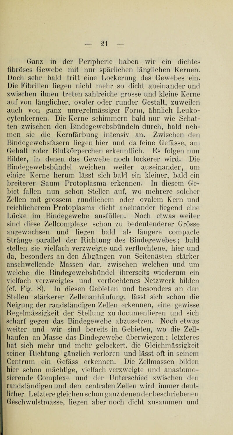 Ganz in der Peripherie haben wir ein dichtes fibröses Gewebe mit nur spärlichen länglichen Kernen. Doch sehr bald tritt eine Lockerung des Gewebes ein. Die Fibrillen liegen nicht mehr so dicht aneinander und zwischen ihnen treten zahlreiche grosse und kleine Kerne auf von länglicher, ovaler oder runder Gestalt, zuweilen auch von ganz unregelmässiger Form, ähnlich Leuko- cytenkernen. Die Kerne schimmern bald nur wie Schat¬ ten zwischen den Bindegewebsbündeln durch, bald neh¬ men sie die Kernfärbung intensiv an. Zwischen den Bindegewebsfasern liegen hier und da feine Gefässe, am Gehalt roter Blutkörperchen erkenntlich. Es folgen nun Bilder, in denen das Gewebe noch lockerer wird. Die Bindegewebsbündel weichen weiter auseinander, um einige Kerne herum lässt sich bald ein kleiner, bald ein breiterer Saum Protoplasma erkennen. In diesem Ge¬ biet fallen nun schon Stellen auf, wo mehrere solcher Zellen mit grossem rundlichem oder ovalem Kern und reichlicherem Protoplasma dicht aneinander liegend eine Lücke im Bindegewebe ausfüllen. Noch etwas weiter sind diese Zellcomplexe schon zu bedeutenderer Grösse angewachsen und liegen bald als längere compacte Stränge parallel der Richtung des Bindegewebes; bald stellen sie vielfach verzweigte und verflochtene, hier und da, besonders an den Abgängen von Seitenästen stärker anschwellende Massen dar, zwischen welchen und um welche die Bindegewebsbündel ihrerseits wiederum ein vielfach verzweigtes und verflochtenes Netzwerk bilden (cf. Fig. 8). In diesen Gebieten und besonders an den Stellen stärkerer Zellenanhäufung, lässt sich schon die Neigung der randständigen Zellen erkennen, eine gewisse Regelmässigkeit der Stellung zu documentieren und sich scharf gegen das Bindegewebe abzusetzen. Noch etwas weiter und wir sind bereits in Gebieten, wo die Zell¬ haufen an Masse das Bindegewebe überwiegen ; letzteres hat sich mehr und mehr gelockert, die Gleichmässigkeit seiner Richtung gänzlich verloren und lässt oft in seinem Gentrum ein Gefäss erkennen. Die Zellmassen bilden hier schon mächtige, vielfach verzweigte und anastomo- sierende Complexe und der Unterschied zwischen den randständigen und den centralen Zellen wird immer deut¬ licher. Letztere gleichen schon ganz denen derbeschriebenen Geschwulstmasse, liegen aber noch dicht zusammen und
