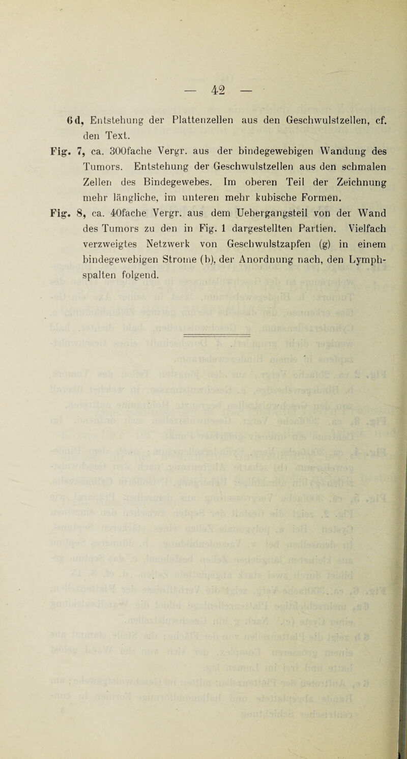 6(1, Entstehung der Plattenzellen aus den Geschwulstzellen, cf. den Text. Fig. 7, ca. 300fache Vergr. aus der bindegewebigen Wandung des Tumors. Entstehung der Geschwulstzellen aus den schmalen Zellen des Bindegewebes. Im oberen Teil der Zeichnung mehr längliche, im unteren mehr kubische Formen. Fig. 8, ca. 40fache Vergr. aus dem Uebergangsteil von der Wand des Tumors zu den in Fig. 1 dargestellten Partien. Vielfach verzweigtes Netzwerk von Geschwulstzapfen (g) in einem bindegewebigen Strome (b), der Anordnung nach, den Lymph¬ spalten folgend.