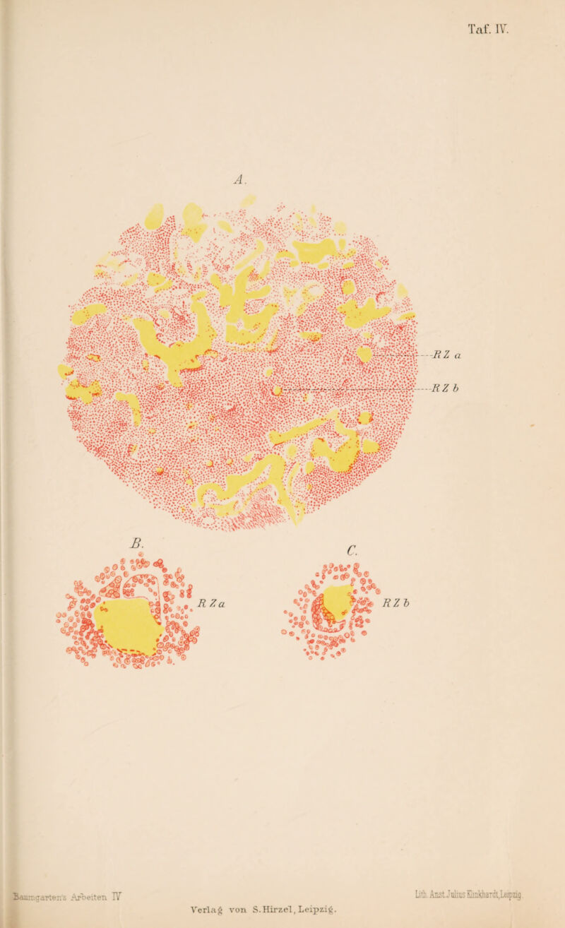 Taf. IV A 4» ■'<?* , * Q S<S/T, P.W/ H Cj_G/ «a^A- <M& R Z a *• * Baumgarten's Arbeiten IV Verlag von S.Hirzel, Leipzig. -RZ a —RZ b Lith. Aast Julius Kiiakhardt, Leipzig