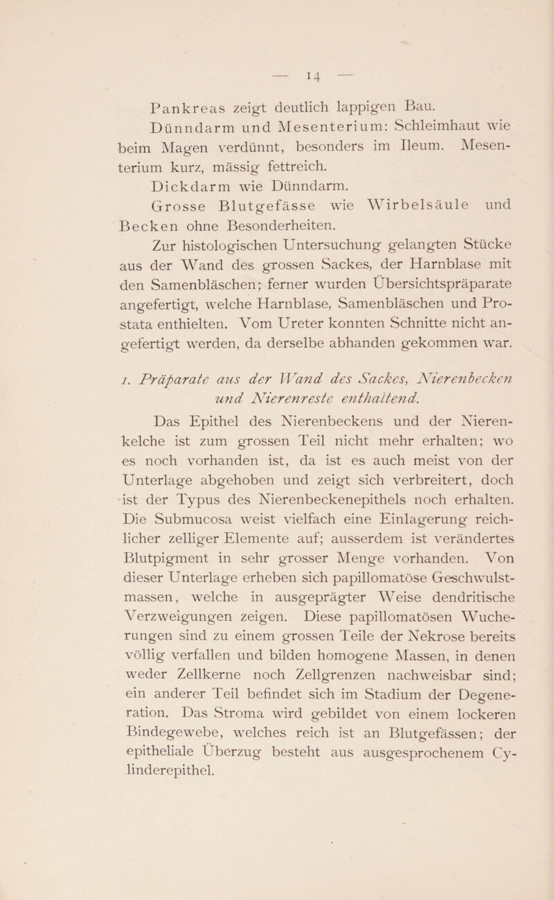 H Pankreas zeigt deutlich lappigen Bau. Dünndarm und Mesenterium: Schleimhaut wie beim Magen verdünnt, besonders im Ileum. Mesen¬ terium kurz, mässig fettreich. Dick dar m wie Dünndarm. Grosse Blutgefässe wie Wirbelsäule und Becken ohne Besonderheiten. Zur histologischen Untersuchung gelangten Stücke aus der Wand des grossen Sackes, der Harnblase mit den Samenbläschen; ferner wurden Übersichtspräparate angefertigt, welche Harnblase, Samenbläschen und Pro¬ stata enthielten. Vom Ureter konnten Schnitte nicht an¬ gefertigt werden, da derselbe abhanden gekommen war. /. Präparate aus der Wand des Sackes, Nierenbecken und Nierenreste enthaltend. Das Epithel des Nierenbeckens und der Nieren¬ kelche ist zum grossen Teil nicht mehr erhalten; wo es noch vorhanden ist, da ist es auch meist von der Unterlage abgehoben und zeigt sich verbreitert, doch ist der Typus des Nierenbeckenepithels noch erhalten. Die Submucosa weist vielfach eine Einlagerung reich¬ licher zelliger Elemente auf; ausserdem ist verändertes Blutpigment in sehr grosser Menge vorhanden. Von dieser Unterlage erheben sich papillomatöse Geschwulst¬ massen, welche in ausgeprägter Weise dendritische Verzweigungen zeigen. Diese papillomatösen Wuche¬ rungen sind zu einem grossen Teile der Nekrose bereits völlig verfallen und bilden homogene Massen, in denen weder Zellkerne noch Zellgrenzen nachweisbar sind; ein anderer Teil befindet sich im Stadium der Degene¬ ration. Das Stroma wird gebildet von einem lockeren Bindegewebe, welches reich ist an Blutgefässen; der epitheliale Überzug besteht aus ausgesprochenem Cy- linderepithel.