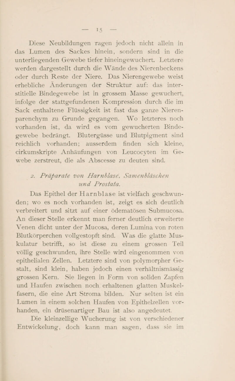 *5 Diese Neubildungen ragen jedoch nicht allein in das Lumen des Sackes hinein, sondern sind in die unterliegenden Gewebe tiefer hineingewuchert. Letztere werden dargestellt durch die Wände des Nierenbeckens oder durch Reste der Niere. Das Nierengewebe weist erhebliche Änderungen der Struktur auf: das inter¬ stitielle Bindegewebe ist in grossem Masse gewuchert, infolge der stattgefundenen Kompression durch die im Sack enthaltene Flüssigkeit ist fast das ganze Nieren¬ parenchym zu Grunde gegangen. Wo letzteres noch vorhanden ist, da wird es vom gewucherten Binde¬ gewebe bedrängt. Blutergüsse und Blutpigment sind reichlich vorhanden; ausserdem finden sich kleine, cirkumskripte Anhäufungen von Leucocyten im Ge¬ webe zerstreut, die als Abscesse zu deuten sind. 2. Präparate von Harnblase, Samenbläschen und Prostata. Das Epithel der Harnblase ist vielfach geschwun¬ den; wo es noch vorhanden ist, zeigt es sich deutlich verbreitert und sitzt auf einer ödematösen Submucosa. An dieser Stelle erkennt man ferner deutlich erweiterte Venen dicht unter der Mucosa, deren Lumina von roten Blutkörperchen vollgestopft sind. Was die glatte Mus¬ kulatur betrifft, so ist diese zu einem grossen Teil völlig geschwunden, ihre Stelle wird eingenommen von epithelialen Zellen. Letztere sind von polymorpher (Te¬ stalt, sind klein, haben jedoch einen verhältnismässig grossen Kern. Sie liegen in Form von soliden Zapfen und Haufen zwischen noch erhaltenen glatten Muskel¬ fasern, die eine Art Stroma bilden. Nur selten ist ein Lumen in einem solchen Haufen von Epithelzellen vor¬ handen, ein drüsenartiger Bau ist also angedeutet. Die kleinzellige Wucherung ist von verschiedener Entwickelung, doch kann man sagen, dass sie im