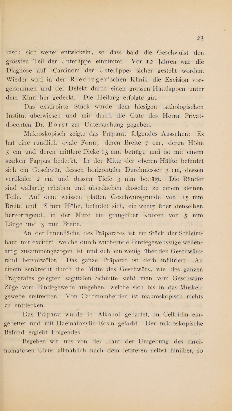 rasch sich weiter entwickeln, so dass bald die Geschwulst den grössten Teil der Unterlippe einnimmt. Vor 12 Jahren war die Diagnose auf »Carcinom der Unterlippe« sicher gestellt worden. Wieder wird in der Ried inger’sehen Klinik die Excision vor¬ genommen und der Defekt durch einen grossen Hautlappen unter dem Kinn her gedeckt. Die Heilung erfolgte gut. Das exstirpirte Stück wurde dem hiesigen pathologischen Institut überwiesen und mir durch die Güte des Herrn Privat- docenten Dr. Borst zur Untersuchung gegeben. Makroskopisch zeigte das Präparat folgendes Aussehen: Es hat eine rundlich ovale Form, deren Breite 7 cm, deren Höhe 5 cm und deren mittlere Dicke 13 mm beträgt, und ist mit einem starken Pappus bedeckt. In der Mitte der oberen Hälfte befindet sich ein Geschwür, dessen horizontaler Durchmesser 3 cm, dessen vertikaler 2 cm und dessen Tiefe 3 mm beträgt. Die Ränder sind wallartig erhaben und überdachen dasselbe zu einem kleinen Teile. Auf dem weissen platten Geschwürsgrunde von 15 mm Breite und 18 mm Höhe, befindet sich, ein wenig über denselben hervorragend, in der Mitte ein graugelber Knoten von 5 mm Länge und 3 mm Breite. An der Innenfläche des Präparates ist ein Stück der Schleim¬ haut mit excidirt, welche durch wuchernde Bindegewebszüge wellen- artig zusammen gezogen ist und sich ein wenig über den Geschwürs- rand hervorwölbt. Das ganze Präparat ist derb infiltriert. An einem senkrecht durch die Mitte des Geschwürs, wie des ganzen Präparates gelegten sagittalen Schnitte sieht man vom Geschwüre Züge vom Bindegewebe ausgehen, welche sich bis in das Muskel¬ gewebe erstrecken. Von Carcinomherden ist makroskopisch nichts zu entdecken. Das Präparat wurde in Alkohol gehärtet, in Celloidin ein¬ gebettet und mit Haematoxylin-Eosin gefärbt. Der mikroskopische Befund ergiebt Folgendes : Begeben wir uns von der Haut der Umgebung des carei- nomatösen Ulcus allmählich nach dem letzteren selbst hinüber, so