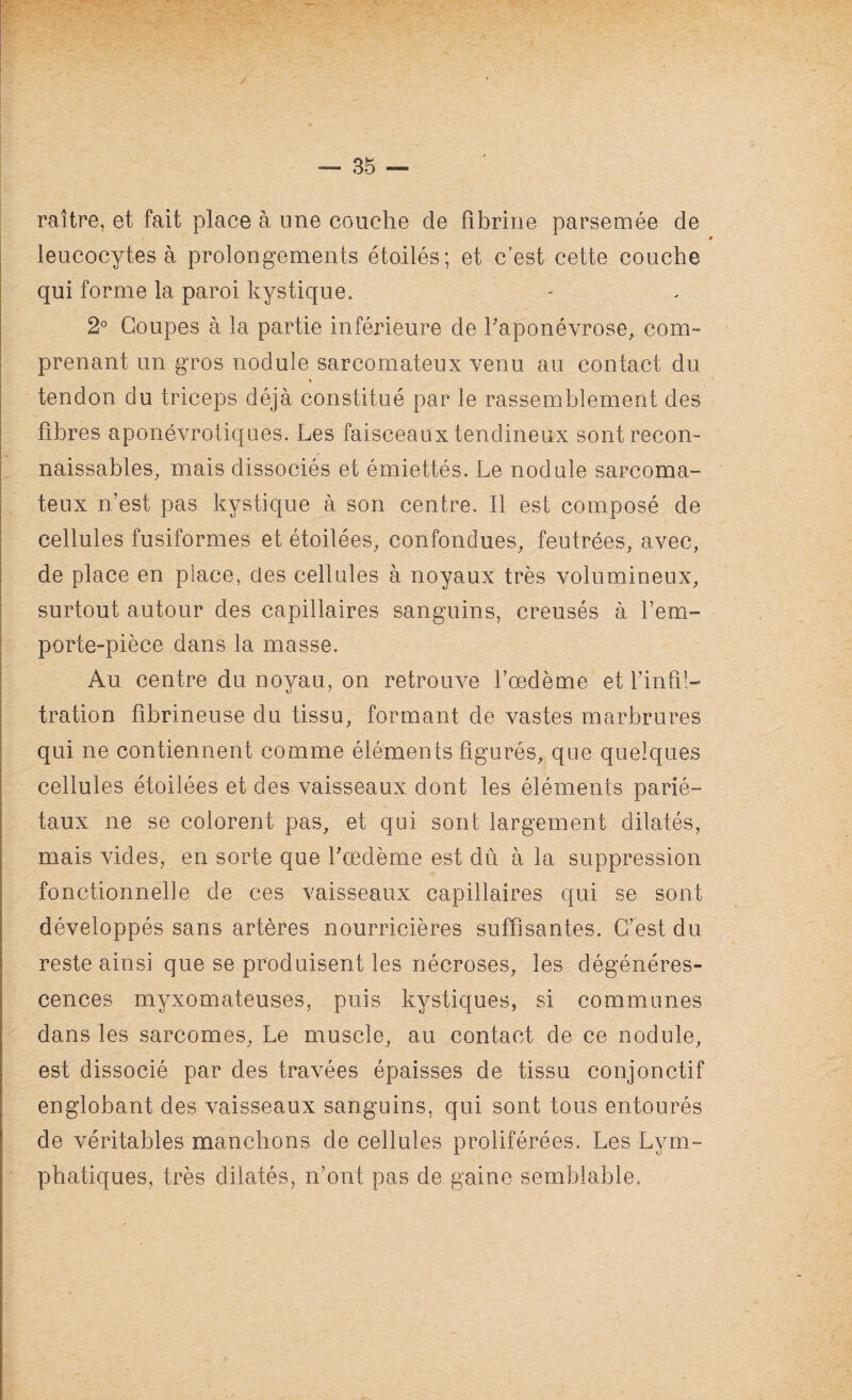raître, et fait place à une couche de fibrine parsemée de leucocytes à prolongements étoilés; et c’est cette couche qui forme la paroi kystique. 2° Coupes à la partie inférieure de l'aponévrose, com¬ prenant un gros nodule sarcomateux venu au contact du tendon du triceps déjà constitué par le rassemblement des fibres aponévrotiques. Les faisceaux tendineux sont recon¬ naissables, mais dissociés et émiettés. Le nodule sarcoma¬ teux n’est pas kystique à son centre. Il est composé de cellules fusiformes et étoilées, confondues, feutrées, avec, de place en place, des cellules à noyaux très volumineux, surtout autour des capillaires sanguins, creusés à l’em¬ porte-pièce dans la masse. Au centre du noyau, on retrouve l’œdème et l’infil¬ tration fibrineuse du tissu, formant de vastes marbrures qui ne contiennent comme éléments figurés, que quelques cellules étoilées et des vaisseaux dont les éléments parié¬ taux ne se colorent pas, et qui sont largement dilatés, mais vides, en sorte que l’œdème est dû à la suppression fonctionnelle de ces vaisseaux capillaires qui se sont développés sans artères nourricières suffisantes. C’est du reste ainsi que se produisent les nécroses, les dégénéres¬ cences myxomateuses, puis kystiques, si communes dans les sarcomes, Le muscle, au contact de ce nodule, est dissocié par des travées épaisses de tissu conjonctif englobant des vaisseaux sanguins, qui sont tous entourés de véritables manchons de cellules proliférées. Les Lym¬ phatiques, très dilatés, n’ont pas de gaine semblable.
