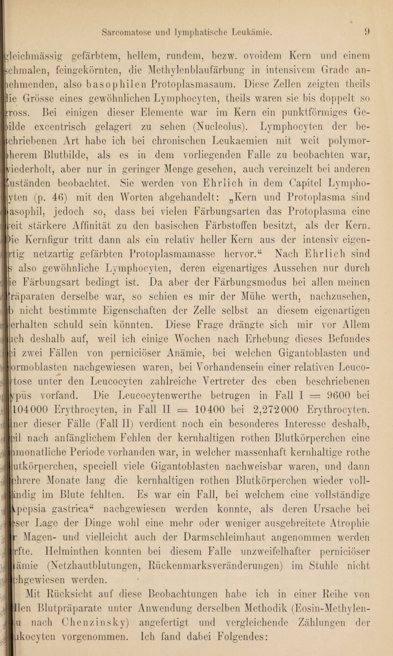 feichmässig gefärbtem, hellem, rundem, bczw. ovoidem Kern und einem chmalen, feingekörnten, die Methylenblaufärbung in intensivem Grade an- ehmcnden, also basophilen Protoplasmasaum. Diese Zellen zeigten theils ie Grösse eines gewöhnlichen Lymphocyten, theils waren sie bis doppelt so ross. Bei einigen dieser Elemente war im Kern ein punktförmiges Gc- ilde excentrisch gelagert zu sehen (Nucleolus). Lymphocyten der be- chriebenen Art habe ich bei chronischen Leukaemien mit weit polymor- herem Blutbilde, als es in dem vorliegenden Falle zu beobachten war, dederholt, aber nur in geringer Menge gesehen, auch vereinzelt bei anderen iuständen beobachtet. Sie werden von Ehrlich in dem Capitol Lympho- yten (p. 46) mit den Worten abgehandelt: „Kern und Protoplasma sind asophil, jedoch so, dass bei vielen Färbungsarten das Protoplasma eine reit stärkere Affinität zu den basischen Färbstoffen besitzt, als der Kern. )ie Kernfigur tritt dann als ein relativ heller Kern aus der intensiv eigen- |rtig netzartig gefärbten Protoplasmamasse hervor.“ Nach Ehrlich sind also gewöhnliche Lymphocyten, deren eigenartiges Aussehen nur durch tie Färbungsart bedingt ist. Da aber der Färbungsmodus bei allen meinen [räparaten derselbe war, so schien es mir der Mühe werth, nachzusehen, nicht bestimmte Eigenschaften der Zelle selbst an diesem eigenartigen [erhalten schuld sein könnten. Diese Frage drängte sich mir vor Allem [ich deshalb auf, weil ich einige Wochen nach Erhebung dieses Befundes i zwei Fällen von pernieiöser Anämie, bei welchen Gigantobiasten und ormoblasten nachgewiesen waren, bei Vorhandensein einer relativen Leuco- tose unter den Leucocvten zahlreiche Vertreter des eben beschriebenen pus vorfand. Die Leucocytenwerthe betrugen in Fall I == 9600 bei 104000 Erythrocyten, in Fall II = 10400 bei 2,272000 Erythrocyten. ner dieser Fälle (Fall II) verdient noch ein besonderes Interesse deshalb, il nach anfänglichem Fehlen der kernhaltigen rothen Blutkörperchen eine monatliche Periode vorhanden war, in welcher massenhaft kernhaltige rothe utkörperchen, speciell viele Gigantobiasten nachweisbar waren, und dann hrere Monate lang die kernhaltigen rothen Blutkörperchen wieder voll- ndig im Blute fehlten. Es war ein Fall, bei welchem eine vollständige pepsia gastrina“ nachgewiesen werden konnte, als deren Ursache bei ser Lage der Dinge wohl eine mehr oder weniger ausgebreitete Atrophie r Magen- und vielleicht auch der Darmschleimhaut angenommen werden jrfte. Helminthen konnten bei diesem Falle unzweifelhafter pernieiöser ämie (Netzhautblutungen, Rückenmarks Veränderungen) im Stuhle nicht hgewiesen werden. Mit Rücksicht auf diese Beobachtungen habe ich in einer Reihe von len Blutpräparate unter Anwendung derselben Methodik (Eosin-Methylen- |u nach Chenzinsky) angefertigt und vergleichende Zählungen der kocyten vorgenommen. Ich fand dabei Folgendes: