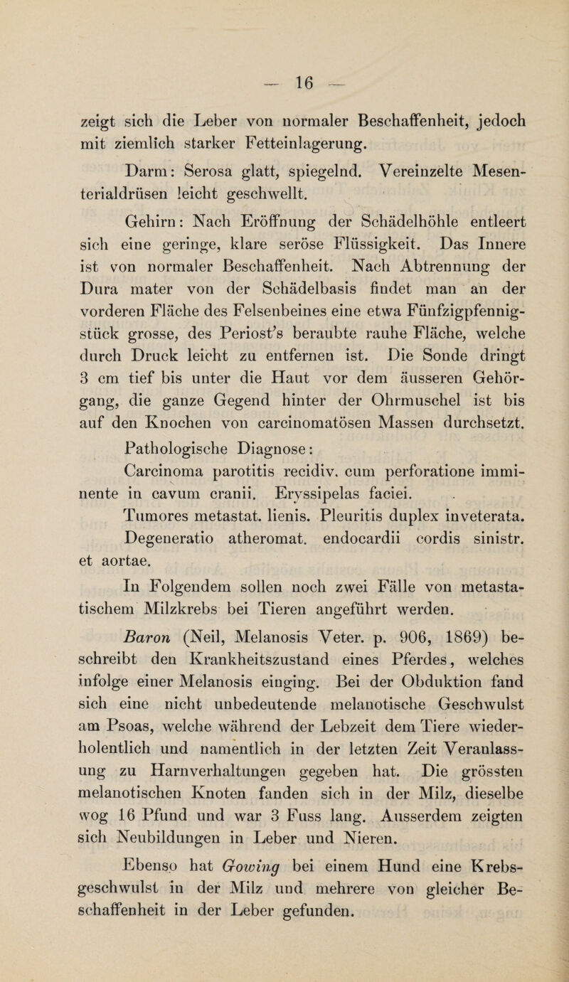 zeigt sich die Leber von normaler Beschaffenheit, jedoch mit ziemlich starker Fetteinlagerung. Darm: Serosa glatt, spiegelnd. Vereinzelte Mesen¬ terialdrüsen leicht geschwellt. Gehirn: Nach Eröffnung der Schädelhöhle entleert sich eine geringe, klare seröse Flüssigkeit. Das Innere ist von normaler Beschaffenheit. Nach Abtrennung der Dura mater von der Schädelbasis findet man an der vorderen Fläche des Felsenbeines eine etwa Fünfzigpfennig¬ stück grosse, des PeriosPs beraubte rauhe Fläche, welche durch Druck leicht zu entfernen ist. Die Sonde dringt 3 cm tief bis unter die Haut vor dem äusseren Gehör¬ gang, die ganze Gegend hinter der Ohrmuschel ist bis auf den Knochen von carcinomatösen Massen durchsetzt. Pathologische Diagnose: Carcinoma parotitis recidiv. cum perforatione immi¬ nente in cavum cranii. Eryssipelas faciei. Tumores metastat. lienis. Pleuritis duplex inveterata. Degeneratio atheromat. endocardii cordis sinistr. et aortae. In Folgendem sollen noch zwei Fälle von metasta¬ tischem Milzkrebs bei Tieren angeführt werden. Baron (Neil, Melanosis Veter. p. 906, 1869) be¬ schreibt den Krankheitszustand eines Pferdes, welches infolge einer Melanosis einging. Bei der Obduktion fand sich eine nicht unbedeutende melanotische Geschwulst am Psoas, welche während der Lebzeit dem Tiere wieder- holentlich und namentlich in der letzten Zeit Veranlass¬ ung zu Harnverhaltungen gegeben hat. Die grössten melanotischen Knoten fanden sich in der Milz, dieselbe wog 16 Pfund und war 3 Fuss lang. Ausserdem zeigten sich Neubildungen in Leber und Nieren. Ebenso hat Gowing bei einem Hund eine Krebs¬ geschwulst in der Milz und mehrere von gleicher Be¬ schaffenheit in der Leber gefunden.