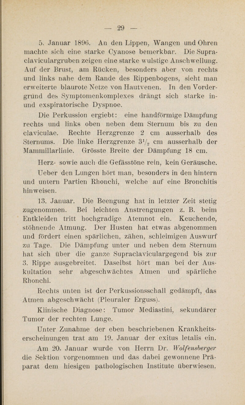 5, Januar 1896. An den Lippen, Wangen und Ohren machte sich eine starke Cyanose bemerkbar. Die Supra- claviculargruben zeigen eine starke wulstige Anschwellung. Auf der Brust, am Rücken, besonders aber ATon rechts und links nahe dem Rande des Rippenbogens, sieht man erweiterte blaurote Netze von Hautvenen. In den Vorder¬ grund des Symptomenkomplexes drängt sich starke in- und exspiratorische Dyspnoe. Die Perkussion ergiebt: eine handförmige Dämpfung rechts und links oben neben dem Sternum bis zu den claviculae. Rechte Herzgrenze 2 cm ausserhalb des Sternums. Die linke Herzgrenze 372 cm ausserhalb der Mammillarlinie. Grösste Breite der Dämpfung 18 cm. Herz- sowie auch die Gefässtöne rein, kein Geräusche. Ueber den Lungen hört man, besonders in den hintern und untern Partien Rhonchi, welche auf eine Bronchitis hin weisen. 13. Januar. Die Beengung hat in letzter Zeit stetig zugenommen. Bei leichten Anstrengungen z. B. beim Entkleiden tritt hochgradige Atemnot ein. Keuchende, stöhnende Atmung. Der Husten hat etwas abgenommen und fördert einen spärlichen, zähen, schleimigen Auswurf zu Tage. Die Dämpfung unter und neben dem Sternum hat sich über die ganze Supraclaviculargegend bis zur 3. Rippe ausgebreitet. Daselbst hört man bei der Aus¬ kultation sehr abgeschwächtes Atmen und spärliche Rhonchi. Rechts unten ist der Perkussionsschall gedämpft, das Atmen abgeschwächt (Pleuraler Erguss). Klinische Diagnose: Tumor Mediastini, sekundärer Tumor der rechten Lunge. Unter Zunahme der eben beschriebenen Krankheits¬ erscheinungen trat am 19. Januar der exitus letalis ein. Am 20. Januar wurde von Herrn Dr. Wolfensberger die Sektion vorgenommen und das dabei gewonnene Prä¬ parat dem hiesigen pathologischen Institute überwiesen.