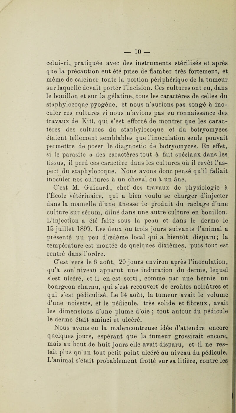 celui-ci, pratiquée avec des instruments stérilisés et après que la précaution eut été prise de flamber très fortement, et même de calciner toute la portion périphérique de la tumeur sur laquelle devait porter l’incision. Ces cultures ont eu, dans le bouillon et sur la gélatine, tous les caractères de celles du staphylocoque pyogène, et nous n’aurions pas songé à ino¬ culer ces cultures si nous n’avions pas eu connaissance des travaux de Kitt, qui sJest efforcé de montrer que les carac¬ tères des cultures du staphylocoque et du botryomyces étaient tellement semblables que l’inoculation seule pouvait permettre de poser le diagnostic de botryomyces. En effet, si le parasite a des caractères tout à fait spéciaux dans les tissus, il perd ces caractère dans les cultures où il revêt l’as¬ pect du staphylocoque. Nous avons donc pensé qu’il fallait inoculer nos cultures à un cheval ou à un âne. C’est M. Guinard, chef des travaux de physiologie à l’Ecole vétérinaire, qui a bien voulu se charger d’injecter dans la mamelle d’une ânesse le produit du raclage d’une culture sur sérum, dilué dans une autre culture en bouillon. L’injection a été faite sous la peau et dans le derme le 15 juillet 1897. Les deux ou trois jours suivants l’animal a présenté un peu d’œdème local quia bientôt disparu; la température est montée de quelques dixièmes, puis tout est rentré dans l’ordre. C’est vers le 6 août, 20 jours environ après l’inoculation, qu’à son niveau apparut une induration du derme, lequel s’est ulcéré, et il en est sorti , comme par une hernie un bourgeon charnu, qui s’est recouvert de croûtes noirâtres et qui s’est pédiculisé. Le 14 août, la tumeur avait le volume d’une noisette, et le pédicule, très solide et fibreux, avait les dimensions d’une plume d’oie ; tout autour du pédicule le derme était aminci et ulcéré. Nous avons eu la malencontreuse idée d’attendre encore quelques jours, espérant que la tumeur grossirait encore, mais au bout de huit jours elle avait disparu, et il ne res¬ tait plus qu’un tout petit point ulcéré au niveau du pédicule. L’animal s’était probablement frotté sur sa litière, contre les