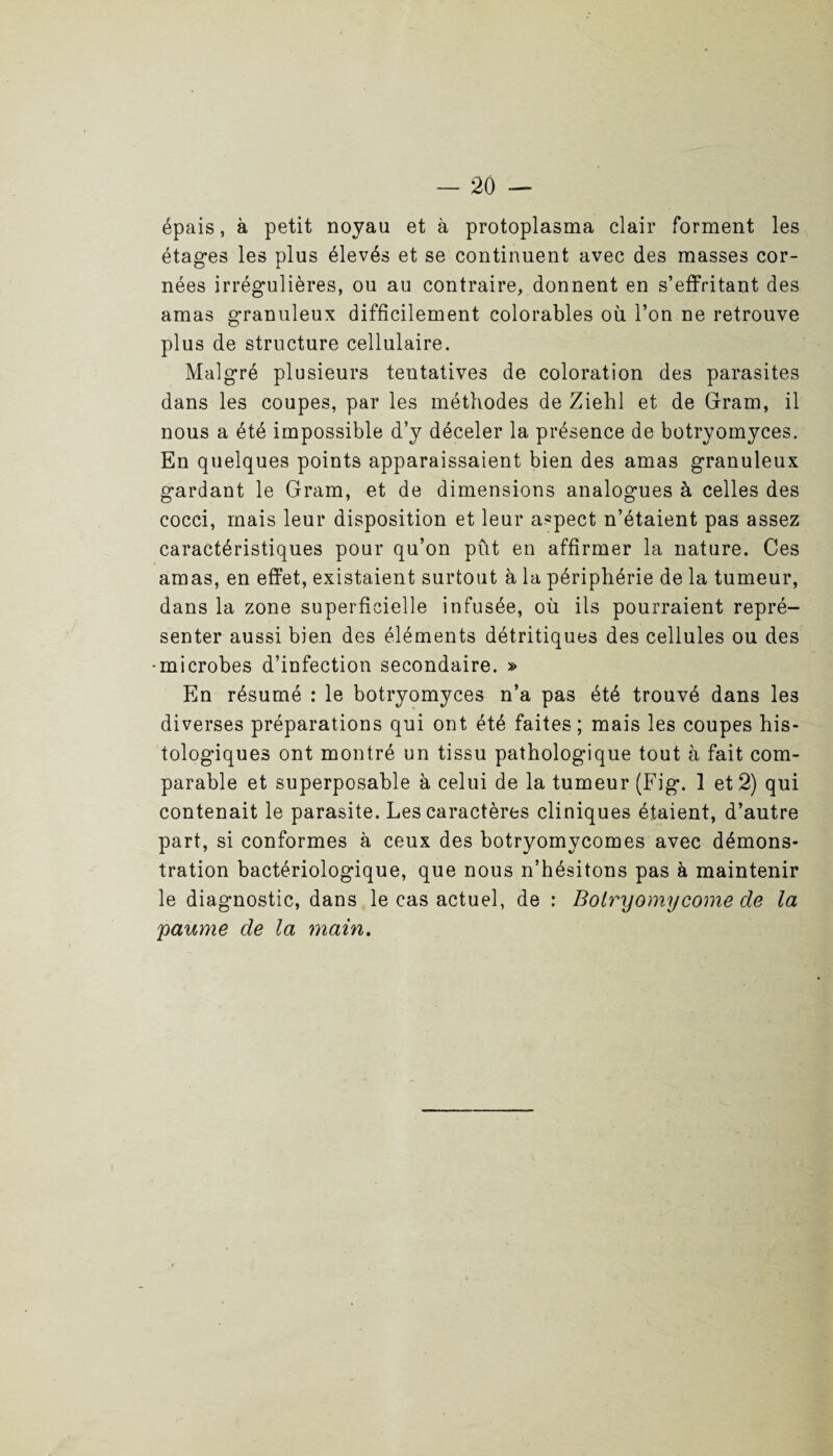 épais, à petit noyau et à protoplasma clair forment les étages les plus élevés et se continuent avec des masses cor¬ nées irrégulières, ou au contraire, donnent en s’effritant des amas granuleux difficilement colorables où l’on ne retrouve plus de structure cellulaire. Malgré plusieurs tentatives de coloration des parasites dans les coupes, par les méthodes de Ziehl et de Gram, il nous a été impossible d’y déceler la présence de botryomyces. En quelques points apparaissaient bien des amas granuleux gardant le Gram, et de dimensions analogues à celles des cocci, mais leur disposition et leur aspect n’étaient pas assez caractéristiques pour qu’on put en affirmer la nature. Ces amas, en effet, existaient surtout à la périphérie de la tumeur, dans la zone superficielle infusée, où ils pourraient repré- senter aussi bien des éléments détritiques des cellules ou des •microbes d’infection secondaire. » En résumé : le botryomyces n’a pas été trouvé dans les diverses préparations qui ont été faites; mais les coupes his¬ tologiques ont montré un tissu pathologique tout à fait com¬ parable et superposable à celui de la tumeur (Fig. 1 et 2) qui contenait le parasite. Les caractères cliniques étaient, d’autre part, si conformes à ceux des botryomycomes avec démons¬ tration bactériologique, que nous n’hésitons pas à maintenir le diagnostic, dans le cas actuel, de : Bolryomycome de la paume de la main.
