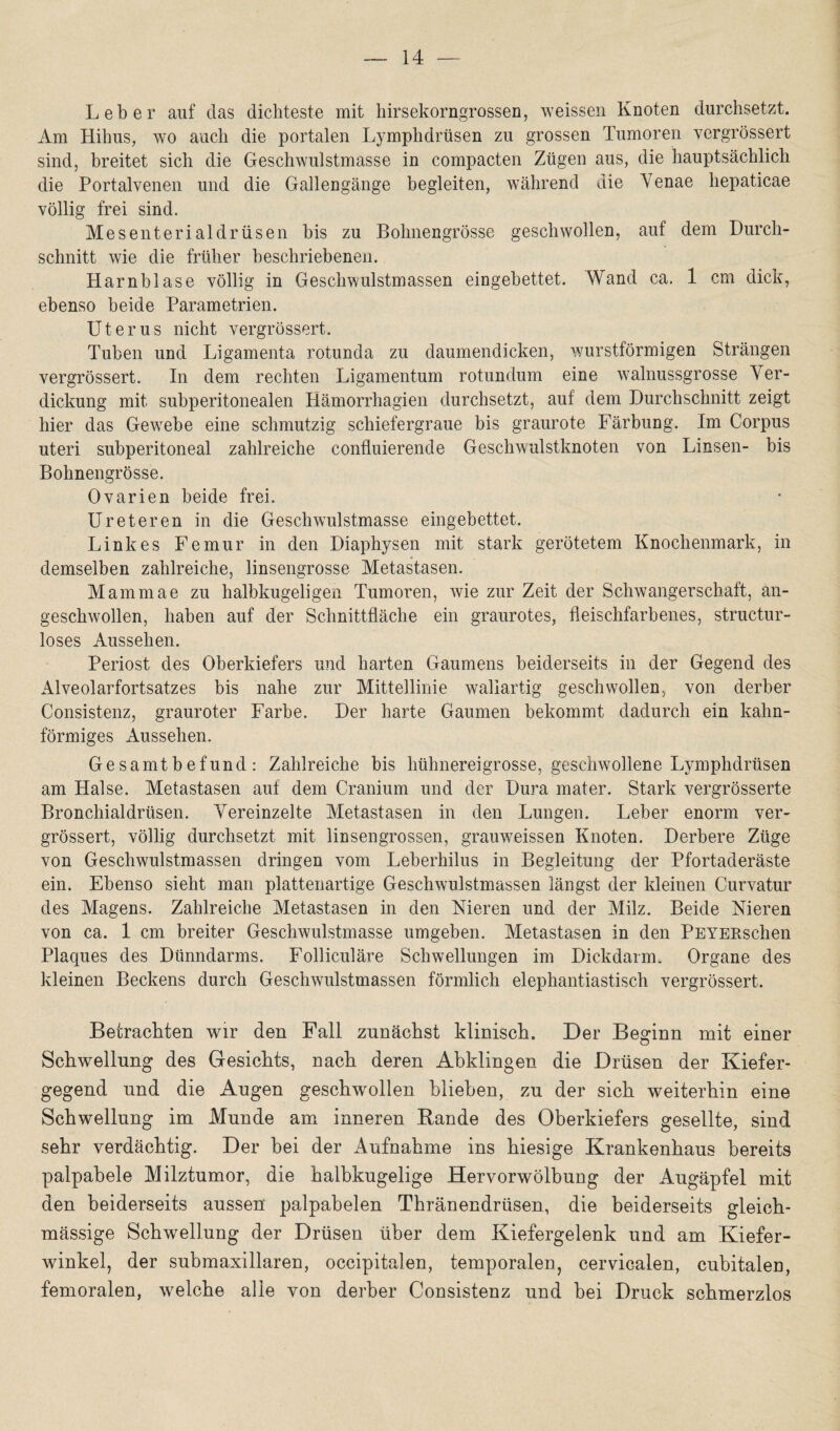 Leber auf das dichteste mit hirsekorngrossen, weissen Knoten durchsetzt. Am Hihus, wo auch die portalen Lymphdrüsen zu grossen Tumoren vergrössert sind, breitet sich die Geschwulstmasse in compacten Zügen aus, die hauptsächlich die Portalvenen und die Gallengänge begleiten, während die A enae hepatieae völlig frei sind. Mesenterialdrüsen bis zu Bohnengrösse geschwollen, auf dem Durch¬ schnitt wie die früher beschriebenen. Harnblase völlig in Geschwulstmassen eingebettet. Wand ca. 1 cm dick, ebenso beide Parametrien. Uterus nicht vergrössert. Tuben und Ligamenta rotunda zu daumendicken, wurstförmigen Strängen vergrössert. In dem rechten Ligamentum rotundum eine walnussgrosse Ver¬ dickung mit subperitonealen Hämorrhagien durchsetzt, auf dem Durchschnitt zeigt hier das Gewebe eine schmutzig schiefergraue bis graurote Färbung. Im Corpus uteri subperitoneal zahlreiche confluierende Geschwulstknoten von Linsen- bis Bohnengrösse. Ovarien beide frei. Ureteren in die Geschwulstmasse eingebettet. Linkes Femur in den Diaphysen mit stark gerötetem Knochenmark, in demselben zahlreiche, linsengrosse Metastasen. Mammae zu halbkugeligen Tumoren, wie zur Zeit der Schwangerschaft, an¬ geschwollen, haben auf der Schnittfläche ein graurotes, fleischfarbenes, structur- loses Aussehen. Periost des Oberkiefers und harten Gaumens beiderseits in der Gegend des Alveolarfortsatzes bis nahe zur Mittellinie waliartig geschwollen, von derber Consistenz, grauroter Farbe. Der harte Gaumen bekommt dadurch ein kahn¬ förmiges Aussehen. Gesamtbefund: Zahlreiche bis hühnereigrosse, geschwollene Lymphdrüsen am Halse. Metastasen auf dem Cranium und der Dura mater. Stark vergrösserte Bronchialdrüsen. Vereinzelte Metastasen in den Lungen. Leber enorm ver¬ grössert, völlig durchsetzt mit linsengrossen, grauweissen Knoten. Derbere Züge von Geschwulstmassen dringen vom Leberhilus in Begleitung der Pfortaderäste ein. Ebenso sieht man plattenartige Geschwulstmassen längst der kleinen Curvatur des Magens. Zahlreiche Metastasen in den Nieren und der Milz. Beide Nieren von ca. 1 cm breiter Geschwulstmasse umgeben. Metastasen in den PEYERschen Plaques des Dünndarms. Folliculäre Schwellungen im Dickdarm. Organe des kleinen Beckens durch Geschwulstmassen förmlich elephantiastisch vergrössert. Betrachten wir den Fall zunächst klinisch. Der Beginn mit einer Schwellung des Gesichts, nach deren Abklingen die Drüsen der Kiefer¬ gegend und die Augen geschwollen blieben, zu der sich weiterhin eine Schwellung im Munde am inneren Bande des Oberkiefers gesellte, sind sehr verdächtig. Der hei der Aufnahme ins hiesige Krankenhaus bereits palpabele Milztumor, die halbkugelige Hervorwölbung der Augäpfel mit den beiderseits aussen palpabelen Thränendrüsen, die beiderseits gleich- mässige Schwellung der Drüsen über dem Kiefergelenk und am Kiefer¬ winkel, der submaxillaren, occipitalen, temporalen, cervicalen, cubitalen, femoralen, welche alle von derber Consistenz und hei Druck schmerzlos
