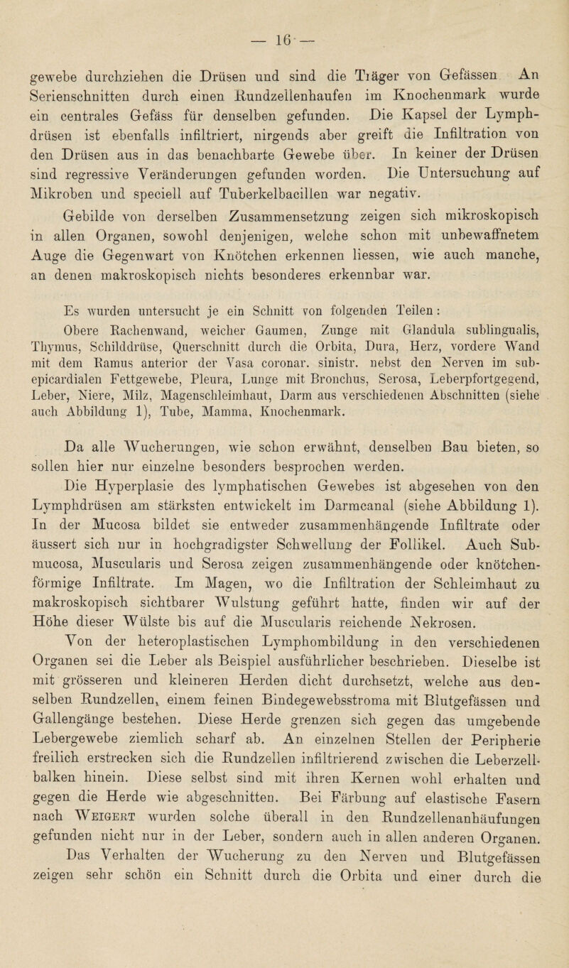 gewebe durchziehen die Drüsen und sind die Tiäger von Gefässen An Serienschnitten durch einen Rundzellenhaufen im Knochenmark wurde ein centrales Gefäss für denselben gefunden. Die Kapsel der Lymph- drüsen ist ebenfalls infiltriert, nirgends aber greift die Infiltration von den Drüsen aus in das benachbarte Gewebe über. In keiner der Drüsen sind regressive Veränderungen gefunden worden. Die Untersuchung auf Mikroben und speciell auf Tuberkelbacillen war negativ. Gebilde von derselben Zusammensetzung zeigen sich mikroskopisch in allen Organen, sowohl denjenigen, welche schon mit unbewaffnetem Auge die Gegenwart von Knötchen erkennen Hessen, wie auch manche, an denen makroskopisch nichts besonderes erkennbar war. Es wurden untersucht je ein Schnitt von folgenden Teilen : Obere Rachenwand, weicher Gaumen, Zunge mit Glandula sublingualis, Thymus, Schilddrüse, Querschnitt durch die Orbita, Dura, Herz, vordere Wand mit dem Ramus anterior der Vasa coronar. sinistr. nebst den Nerven im sub- epicardialen Fettgewebe, Pleura, Lunge mit Bronchus, Serosa, Leberpfortgegend, Leber, Niere, Milz, Magenschleimhaut, Darm aus verschiedenen Abschnitten (siehe auch Abbildung 1), Tube, Mamma, Knochenmark. Da alle Wucherungen, wie schon erwähnt, denselben Bau bieten, so sollen hier nur einzelne besonders besprochen werden. Die Hyperplasie des lymphatischen Gewebes ist abgesehen von den Lymphdrüsen am stärksten entwickelt im Darmcanal (siehe Abbildung 1). In der Mucosa bildet sie entweder zusammenhängende Infiltrate oder äussert sich nur in hochgradigster Schwellung der Follikel. Auch Sub- mucosa, Muscularis und Serosa zeigen zusammenhängende oder knötchen¬ förmige Infiltrate. Im Magen, wo die Infiltration der Schleimhaut zu makroskopisch sichtbarer Wulstung geführt hatte, finden wir auf der Höhe dieser Wülste bis auf die Muscularis reichende Nekrosen. Von der heteroplastischen Lymphombildung in den verschiedenen Organen sei die Leber als Beispiel ausführlicher beschrieben. Dieselbe ist mit grösseren und kleineren Herden dicht durchsetzt, welche aus den¬ selben Rundzellen, einem feinen Bindegewebsstroma mit Blutgefässen und Gallengänge bestehen. Diese Herde grenzen sich gegen das umgebende Lebergewebe ziemlich scharf ab. An einzelnen Stellen der Peripherie freilich erstrecken sich die Rundzellen infiltrierend zwischen die Leberzell¬ balken hinein. Diese selbst sind mit ihren Kernen wohl erhalten und gegen die Herde wie abgeschnitteo. Bei Färbung auf elastische Fasern nach Weigert wurden solche überall in den Rundzellenanhäufuneen gefunden nicht nur in der Leber, sondern auch in allen anderen Organen. Das Verhalten der Wucherung zu den Nerven und Blutgefässen zeigen sehr schön ein Schnitt durch die Orbita und einer durch die