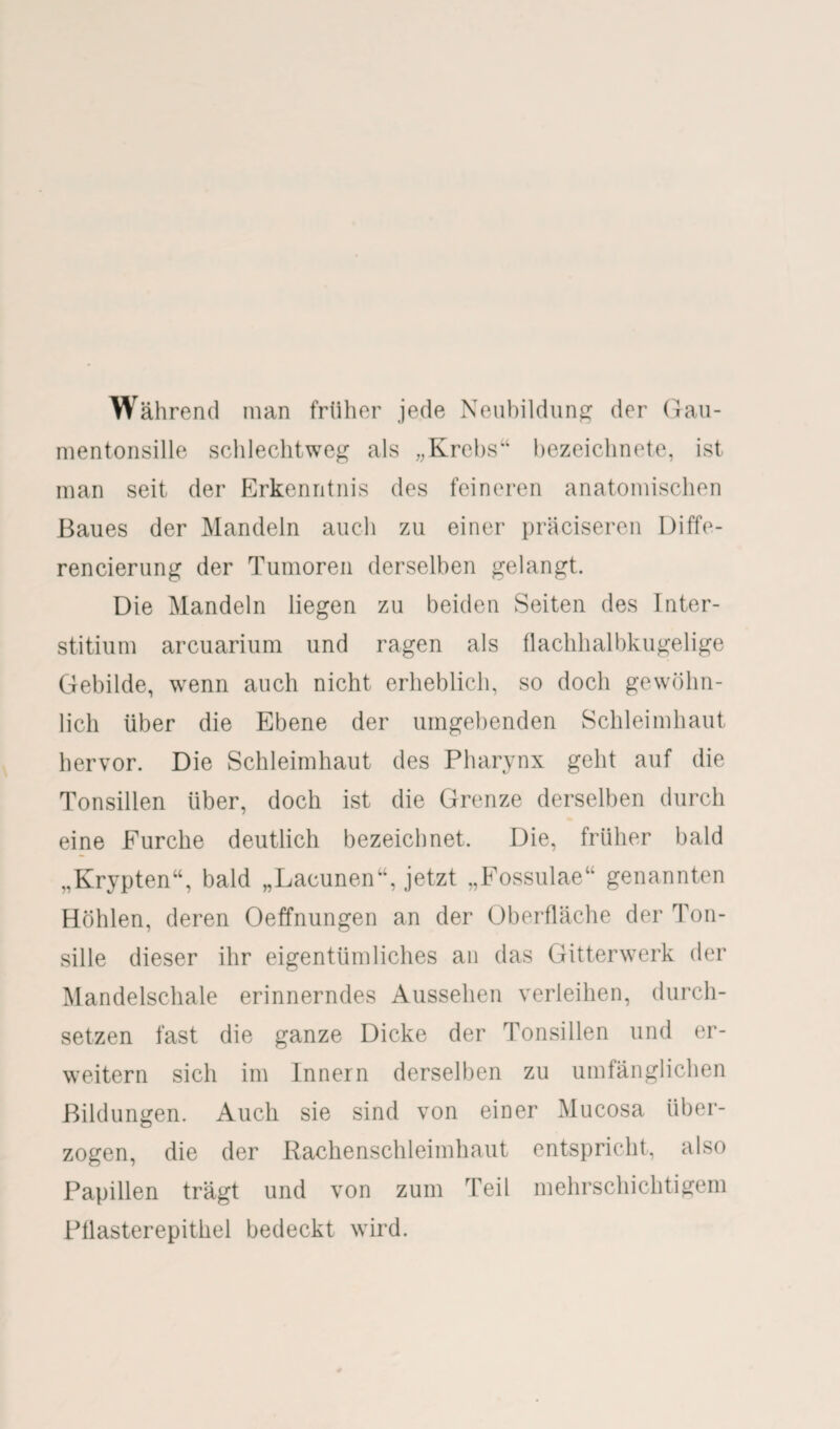 Während man früher jede Neubildung der Gau¬ mentonsille schlechtweg als „Krebs“ bezeichnete, ist man seit der Erkenntnis des feineren anatomischen Baues der Mandeln auch zu einer präciseren Diffe- rencierung der Tumoren derselben gelangt. Die Mandeln liegen zu beiden Seiten des Inter- stitium arcuarium und ragen als flachhalbkugelige Gebilde, wenn auch nicht erheblich, so doch gewöhn¬ lich über die Ebene der umgebenden Schleimhaut hervor. Die Schleimhaut des Pharynx geht auf die Tonsillen über, doch ist die Grenze derselben durch eine Furche deutlich bezeichnet. Die, früher bald „Krypten“, bald „Lacunen“, jetzt „Fossulae“ genannten Höhlen, deren Oeffnungen an der Oberfläche der Ton¬ sille dieser ihr eigentümliches an das Gitterwerk der Mandelschale erinnerndes Aussehen verleihen, durch¬ setzen fast die ganze Dicke der Tonsillen und er¬ weitern sich im Innern derselben zu umfänglichen Bildungen. Auch sie sind von einer Mucosa über¬ zogen, die der Rachenschleimhaut entspricht, also Papillen trägt und von zum Teil mehrschichtigem Pflasterepithel bedeckt wird.