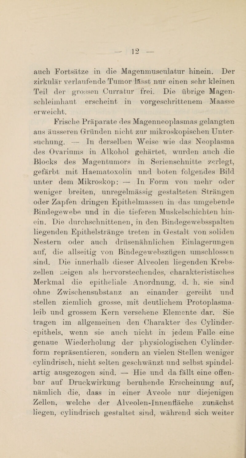 auch Fortsätze in die Magenmusculatur hinein. Der zirkulär verlaufende Tumor lässt nur einen sehr kleinen Teil der grossen Cnrratnr frei. Die übrige Magen¬ schleimhaut erscheint in vorgeschrittenem Maasse erweicht. Frische Präparate des Magenneoplasmas gelangten ans äusseren Gründen nicht zur mikroskopischen Unter¬ suchung. — In derselben Weise wie das Neoplasma des Ovariums in Alkohol gehärtet, wurden auch die Blocks des Magentumors in Serienschnitte zerlegt, gefärbt mit Haematoxolin und boten folgendes Bild unter dem Mikroskop: — In Form von mehr oder weniger breiten, unregelmässig gestalteten Strängen oder Zapfen dringen Epithelmassen in das umgebende Bindegewebe und in die tieferen Muskelschichten hin¬ ein. Die durchschnittenen, in den Bindegewebsspalten liegenden Epithelstränge treten in Gestalt von soliden Nestern oder auch drüsenähnlichen Einlagerungen auf, die allseitig von Bindegewebszügen umschlossen sind. Die innerhalb dieser Alveolen liegenden Krebs¬ zellen zeigen als hervorstechendes, charakteristisches Merkmal die epitheliale Anordnung, d. h. sie sind ohne Zwischensubstanz an einander gereiht und stellen ziemlich grosse, mit deutlichem Protoplasma- leib und grossem Kern versehene Elemente dar. Sie tragen im allgemeinen den Charakter des Oylinder¬ epithels, wenn sie auch nicht in jedem Falle eine genaue Wiederholung der physiologischen Cylinder- form repräsentieren, sondern an vielen Stellen weniger cylindrisch, nicht selten geschwänzt und selbst spindel¬ artig ausgezogen sind. — Hie und da fällt eine offen¬ bar auf Druckwirkung beruhende Erscheinung auf, nämlich die, dass in einer Aveole nur diejenigen Zellen, welche der Alveolen-Innenfläche zunächst liegen, cylindrisch gesfaltet sind, während sich weiter