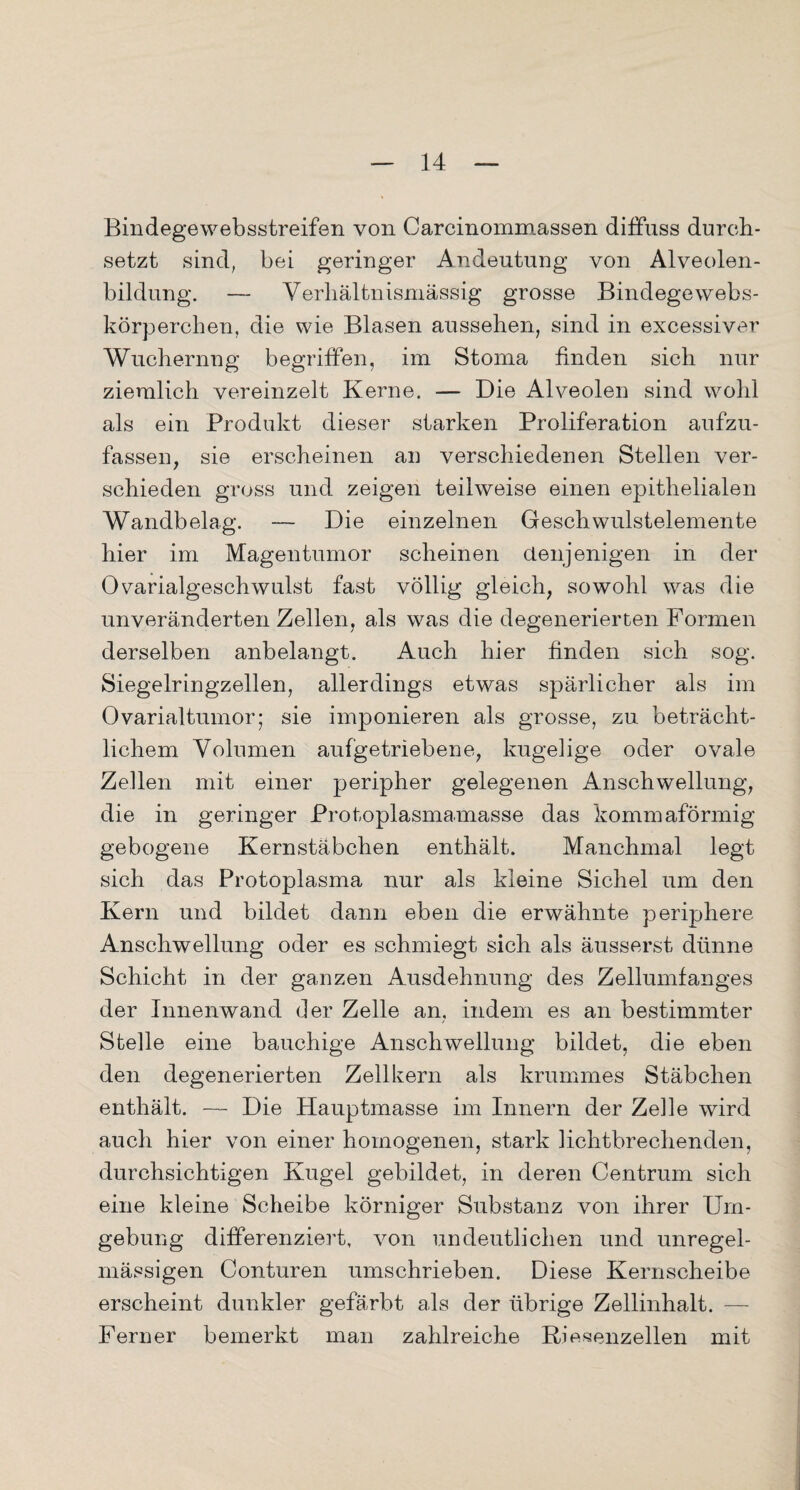 Bindegewebsstreifen von Carcinommassen dilfuss durch¬ setzt sind, bei geringer Andeutung von Alveolen¬ bildung. — Verhältnismässig grosse Bindege webs- körperchen, die wie Blasen aussehen, sind in excessiver Wuchernng begriffen, im Stoma finden sich nur ziemlich vereinzelt Kerne. — Die Alveolen sind wohl als ein Produkt dieser starken Proliferation aufzu¬ fassen, sie erscheinen an verschiedenen Stellen ver¬ schieden gross und zeigen teilweise einen epithelialen Wandbelag. — Die einzelnen Geschwulstelemente hier im Magentumor scheinen denjenigen in der Ovarialgeschwulst fast völlig gleich, sowohl was die unveränderten Zellen, als was die degenerierten Formen derselben anbelangt. Auch hier finden sich sog. Siegelringzellen, allerdings etwas spärlicher als im Ovarialtumor; sie imponieren als grosse, zu beträcht¬ lichem Volumen aufgetriebene, kugelige oder ovale Zellen mit einer peripher gelegenen Anschwellung, die in geringer Protoplasmamasse das kommaförmig gebogene Kernstäbchen enthält. Manchmal legt sich das Protoplasma nur als kleine Sichel um den Kern und bildet dann eben die erwähnte periphere Anschwellung oder es schmiegt sich als äusserst dünne Schicht in der ganzen Ausdehnung des Zellumfanges der Innenwand der Zelle an, indem es an bestimmter Stelle eine bauchige Anschwellung bildet, die eben den degenerierten Zellkern als krummes Stäbchen enthält. — Die Hauptmasse im Innern der Zelle wird auch hier von einer homogenen, stark lichtbrechenden, durchsichtigen Kugel gebildet, in deren Centrum sich eine kleine Scheibe körniger Substanz von ihrer Um¬ gebung differenziert, von undeutlichen und unregel¬ mässigen Conturen umschrieben. Diese Kernscheibe erscheint dunkler gefärbt als der übrige Zellinhalt. Ferner bemerkt man zahlreiche Riesenzellen mit