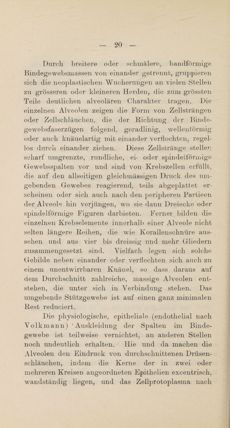 Durch breitere oder schmälere, bandförmige Bindegewebsmassen von einander getrennt, gruppieren sich die neoplastischen Wucherungen an vielen Stellen zu grösseren oder kleineren Herden, die zum grössten Teile deutlichen alveolären Charakter tragen. Die einzelnen Alveolen zeigen die Form von Zellsträngen oder Zellschläuchen, die der Richtung der Binde¬ gewebsfaserzügen folgend, geradlinig, wellenförmig oder auch knäuelartig mit einander verflochten, regel¬ los durch einander ziehen. Diese Zellstränge stellen scharf umgrenzte, rundliche, ei- oder spindelförmige Ge websspalten vor und sind von Krebszellen erfüllt, die auf den allseitigen gleichmässigen Druck des um¬ gebenden Gewebes reagierend, teils abgeplattet er¬ scheinen oder sich auch nach den peripheren Partieen der Alveole hin verjüngen, wo sie dann Dreiecke oder spindelförmige Figuren darbieten. Ferner bilden die einzelnen Krebselemente innerhalb einer Alveole nicht selten längere Reihen, die wie Korallenschnüre alts¬ sehen und aus vier bis dreissig und mehr Gliedern zusammengesetzt sind. Vielfach legen sich solche Gebilde neben einander oder verflechten sich auch zu einem unentwirrbaren Knäuel, so dass daraus auf dem Durchschnitt zahlreiche, massige Alveolen ent¬ stehen, die unter sich in Verbindung stehen. Das umgebende Stützgewebe ist auf einen ganz minimalen Rest reduciert. Die physiologische, epitheliale (endothelial nach Volkmann) 'Auskleidung der Spalten im Binde¬ gewebe ist teilweise vernichtet, an anderen Stellen noch undeutlich erhalten. Hie und da machen die Alveolen den Eindruck von durchschnittenen Drüsen¬ schläuchen, indem die Kerne der in zwei oder mehreren Kreisen angeordneten Epithelien excentrisch, wandständig liegen, und das Zellprotoplasma nach