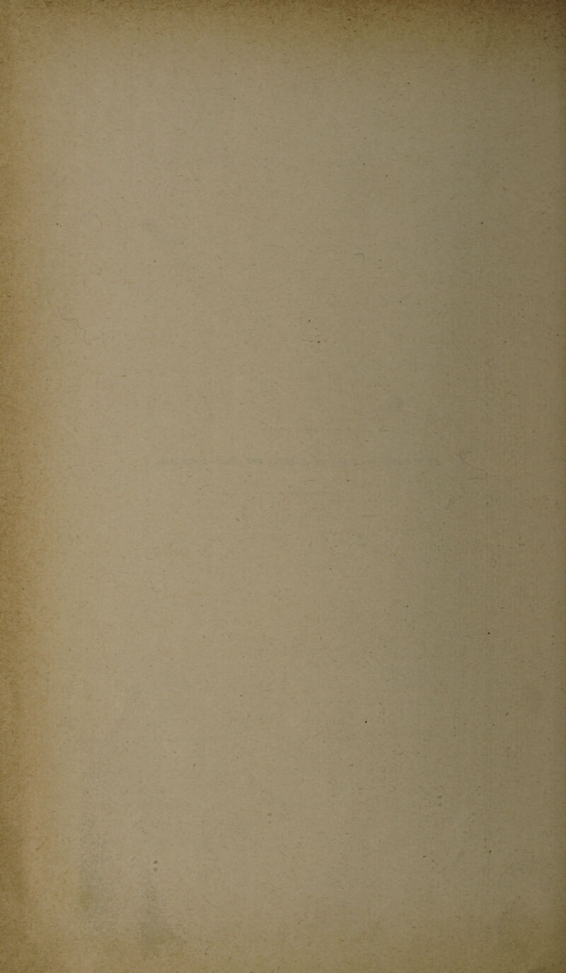 . - . ■ ' ' * < ■ r ’W ‘; ' ■ ■ •• . • t;- - . f . . ' -■ ta - n * ' - • . . , . --s * ' ■ --! < . . , - • • , • -. a ->» . . . ■ - * ». * && k : • •. - • • . .