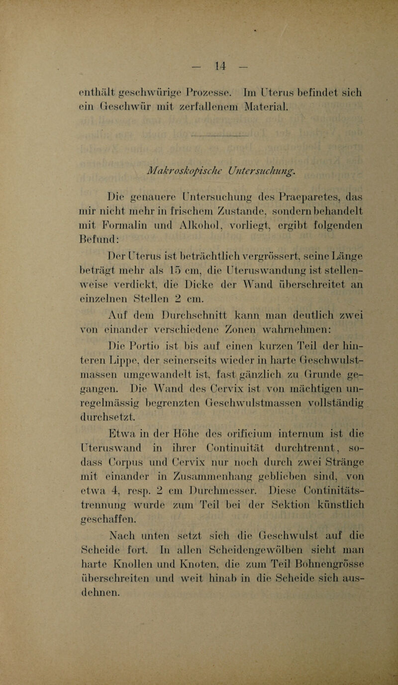 enthält geschwürige Prozesse. Im Uterus befindet sich ein Geschwür mit zerfallenem Material. Makroskopische Untersuchung. Die genauere Untersuchung des Praeparetes, das mir nicht mehr in frischem Zustande, sondern behandelt mit Formal in und Alkohol, vorliegt, ergibt folgenden Befund: Der Uterus ist beträchtlich vergrössert, seine Länge beträgt mehr als 15 cm, die Uteruswandung ist stellen¬ weise verdickt, die Dicke der Wand überschreitet an einzelnen Stellen 2 cm. Auf dem Durchschnitt kann man deutlich zwei von einander verschiedene Zonen wahrnehmen: Die Portio ist bis auf einen kurzen Teil der hin¬ teren Lippe, der seinerseits wieder in harte Geschwulst¬ massen umgewandelt ist, fast gänzlich zu Grunde ge¬ gangen. Die Wand des Cervix ist von mächtigen un¬ regelmässig begrenzten Geschwulstmassen vollständig durchsetzt. Etwa in der Hohe des orificium internum ist die Uteruswand in ihrer Continuität durchtrennt, so- dass Corpus und Cervix nur noch durch zwei Stränge mit einander in Zusammenhang geblieben sind, von etwa 4, resp. 2 cm Durchmesser. Diese Continitäts- trennung wurde zum Teil bei der Sektion künstlich geschaffen. Nach unten setzt sich die Geschwulst auf die Scheide fort. In allen Scheidengewölben sieht man harte Knollen und Knoten, die zum Teil Bohnengrösse überschreiten und weit hinab in die Scheide sich aus- delmen.