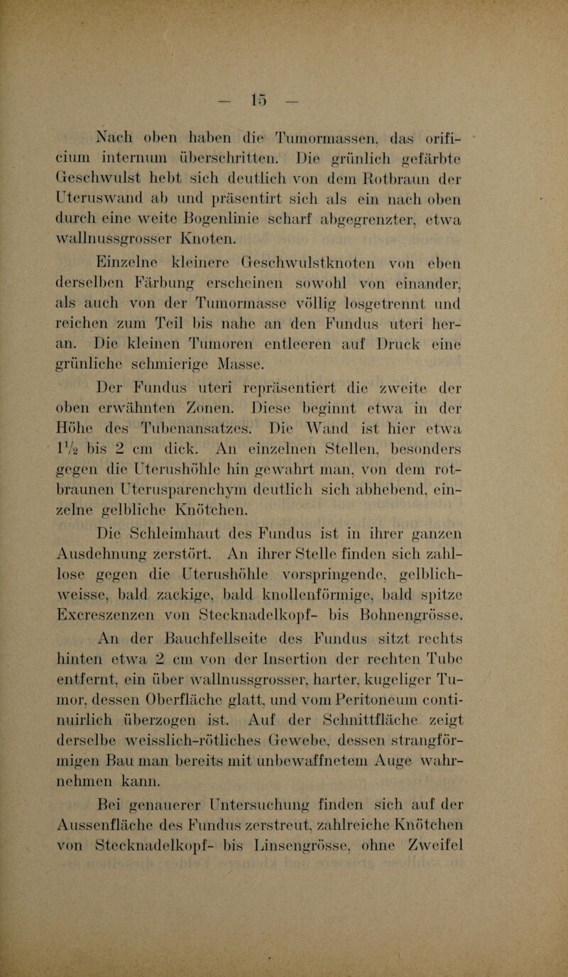 Nach oben haben die Tumormassen, das orifi- cium internuin überschritten. Die grünlich gefärbte Geschwulst hebt sich deutlich von dem Rotbraun der Uteruswand ab und präsentirt sich als ein nach oben durch eine weite Bogenlinie scharf abgegrenzter, etwa wallnussgrosser Knoten. Einzelne kleinere Geschwulstknoten von eben derselben Färbung erscheinen sowohl von einander, als auch von der Tumormasse völlig losgetrennt und reichen zum Teil bis nahe an den Fundus uteri her¬ an. Die kleinen Tumoren entleeren auf Druck eine grünliche schmierige Masse. Der Fundus uteri repräsentiert die zweite der oben erwähnten Zonen. Diese beginnt etwa in der Höhe des Tubenansatzes. Die Wand ist hier etwa IV2 bis 2 cm dick. A11 einzelnen Stellen, besonders gegen die Uterushöhle hin gewahrt man, von dem rot¬ braunen Uterusparenchym deutlich sich abhebend, ein¬ zelne gelbliche Knötchen. Die Schleimhaut des Fundus ist in ihrer ganzen Ausdehnung zerstört. An ihrer Stelle finden sich zahl¬ lose gegen die Uterushöhle vorspringende, gelblich- weisse, bald zackige, bald knollenförmige, bald spitze Excreszenzen von Stecknadelkopf- bis Bohnengrösse. An der Bauchfellseite des Fundus sitzt rechts hinten etwa 2 cm von der Insertion der rechten Tube entfernt, ein über wallnussgrosser, harter, kugeliger Tu¬ mor, dessen Oberfläche glatt, und vom Peritoneum conti- nuirlich überzogen ist. Auf der Schnittfläche zeigt derselbe weisslich-rötliches Gewebe, dessen strangför¬ migen Bau man bereits mit unbewaffnetem Auge wahr¬ nehmen kann. Bei genauerer Untersuchung finden sich auf der Aussenfläche des Fundus zerstreut, zahlreiche Knötchen von Stecknadelkopf- bis Linsengrösse, ohne Zweifel